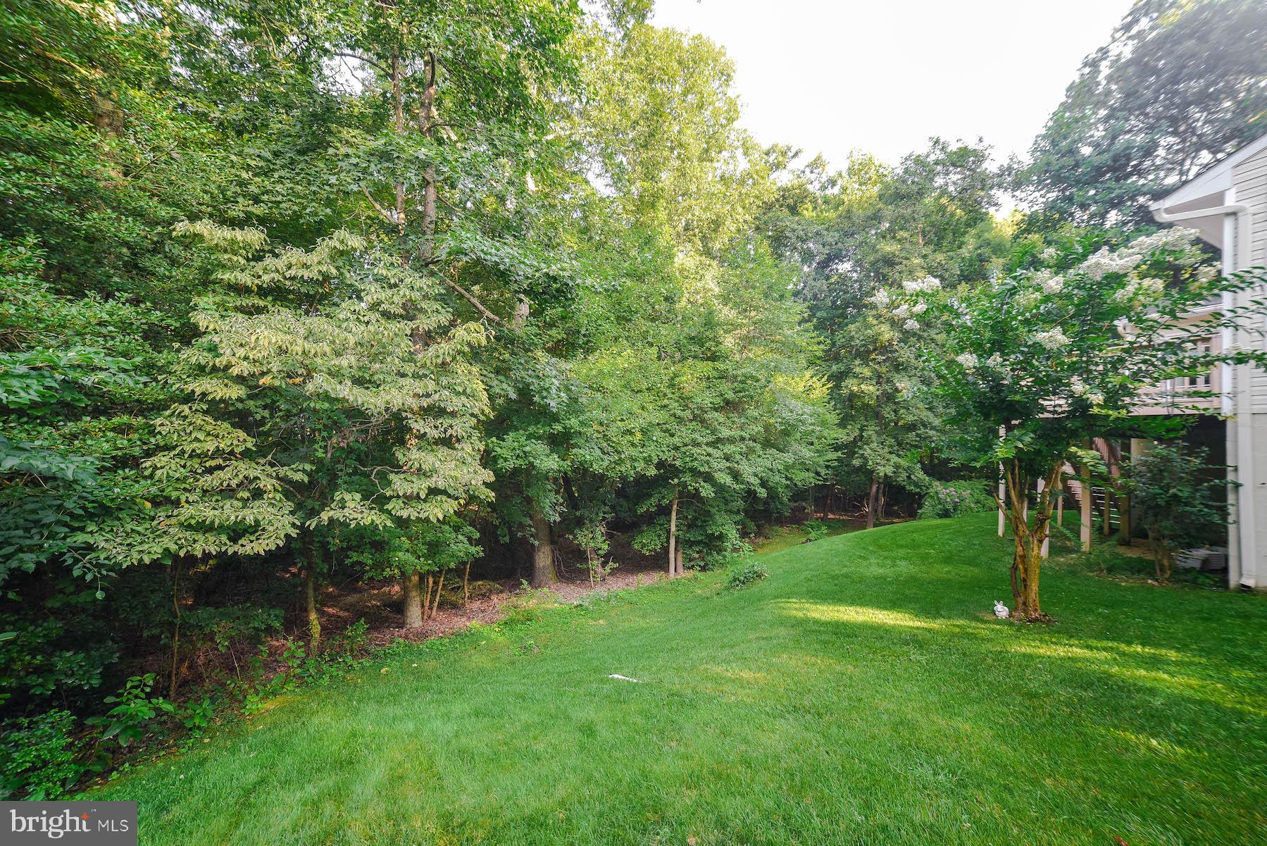 PEPPER RIDGE OF WILDEWOOD - Residential