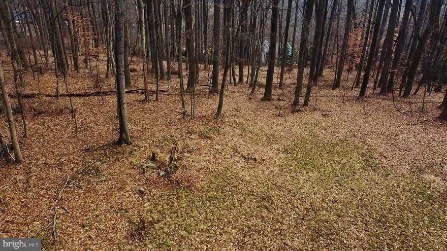 Discover the perfect canvas for your dream home within a mile of Peddler’s Village! This expansive 1.72-acre parcel of land offers the ideal blend of convenience and tranquility within the award-winning Central Bucks School District. During winter months, you'll see the dazzling holiday lights from Peddler's Village, visible through the tree line in the backyard. You’ll also see plenty of Bucks county wildlife right outside your door!

This location centric property is less than a mile from Peddler's Village and just over 5 miles from historic New Hope. It is located just 7 miles from downtown Doylestown and its wonderful restaurants and boutique shops. Traveling to New York or Philadelphia is a breeze from this amazing location. 

Cleared and ready for your vision, this prime real estate parcel includes an existing and inspected well providing a reliable water source for your future oasis. You will also find an existing 2-car garage to meet your storage needs while your new home is being constructed. Don’t miss this rare opportunity to build your ideal retreat in this coveted location! The opportunities are endless! 

Schedule today to walk the property and experience its’ beauty for yourself!