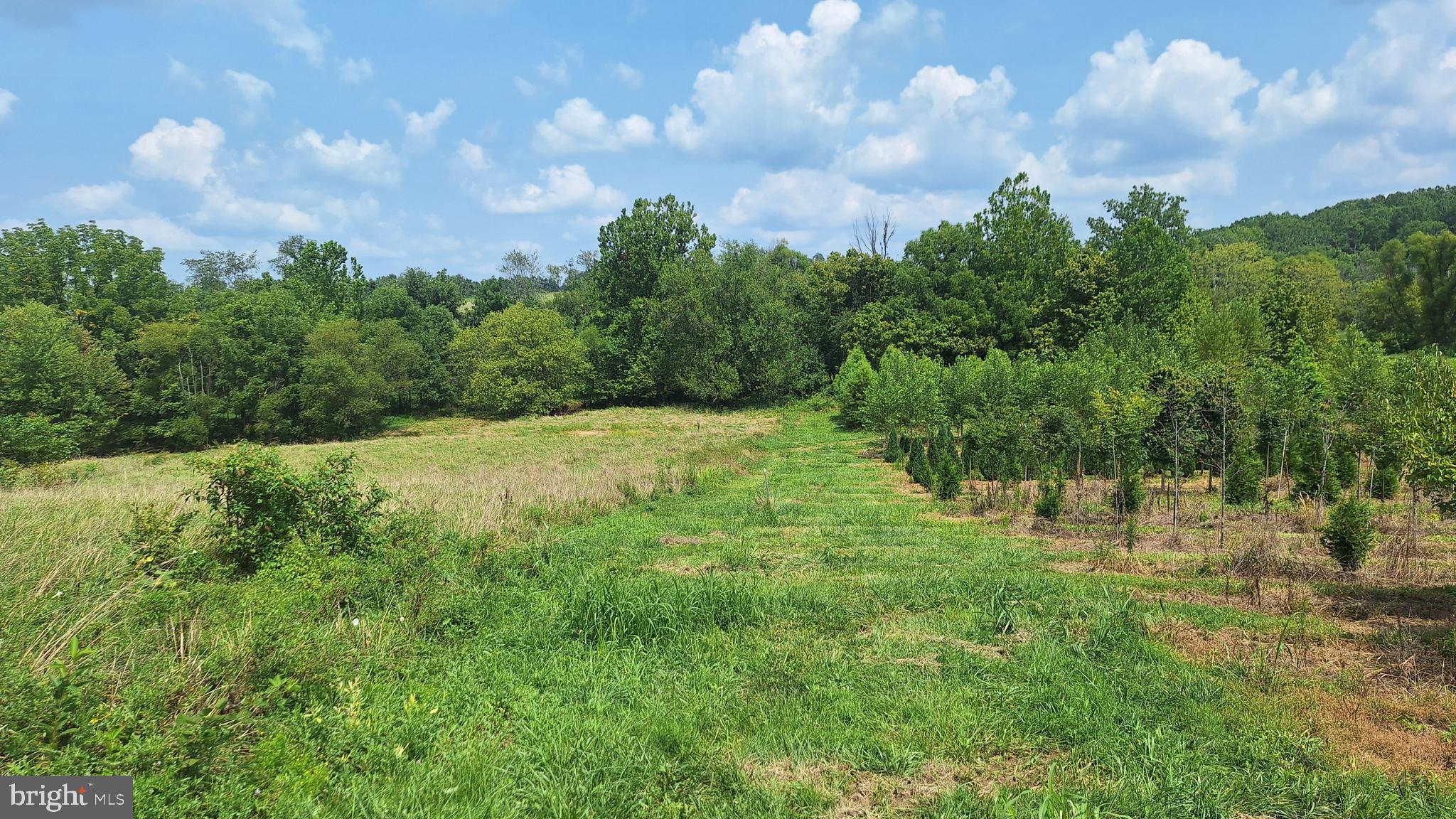 NONE AVAILABLE - Land