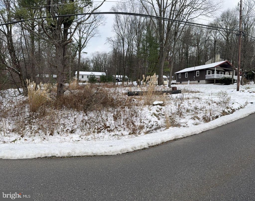 Photo of 238 Mohave Drive, AUBURN, PA 17922 (MLS # PASK2024752)