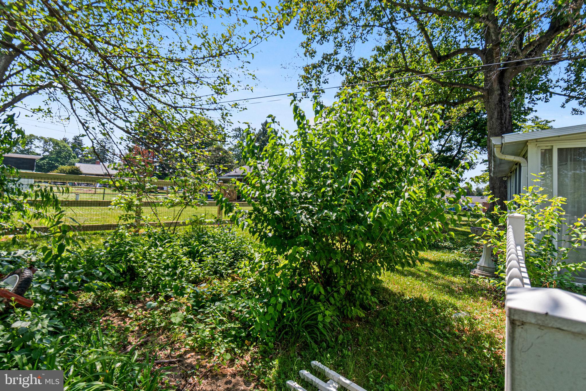 TULIP HILL - Residential