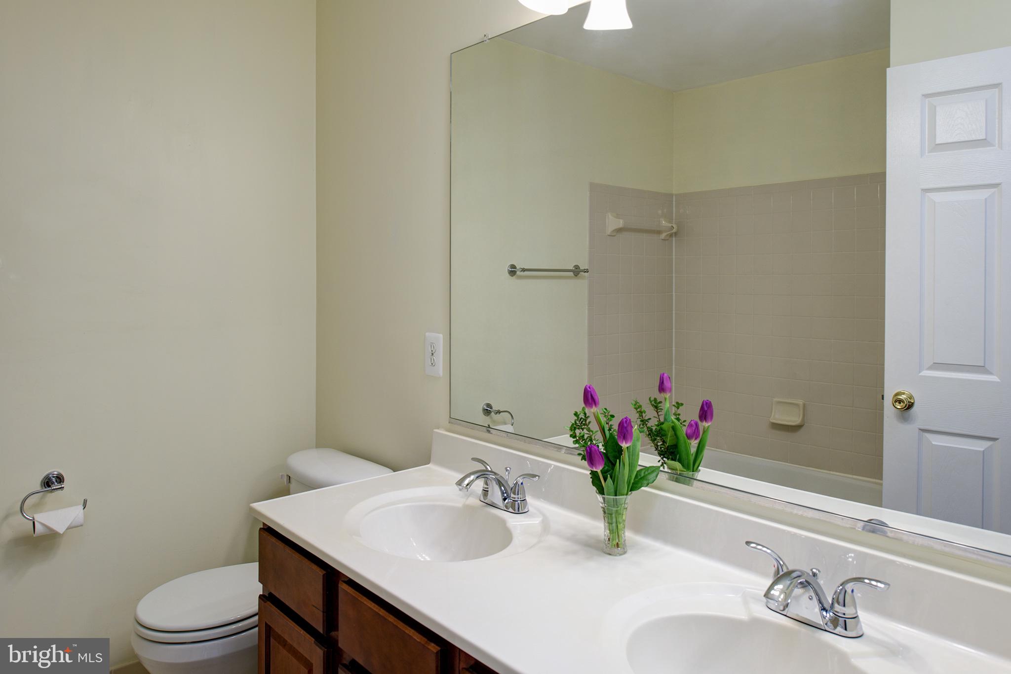 POTOMAC STATION - Residential