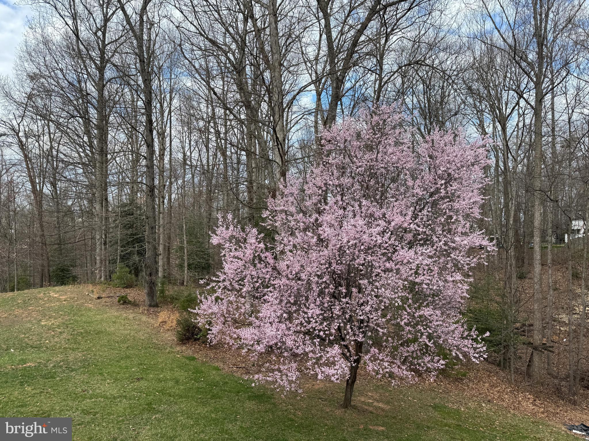 BLOOMS CROSSING - Residential