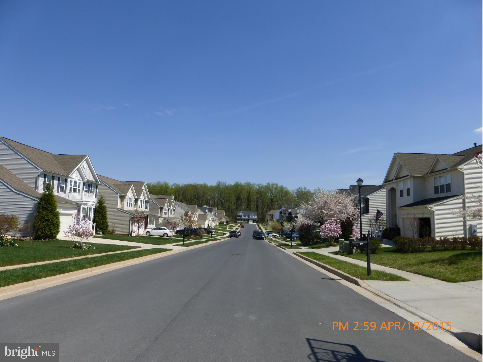 THE GALLERY - Residential Lease