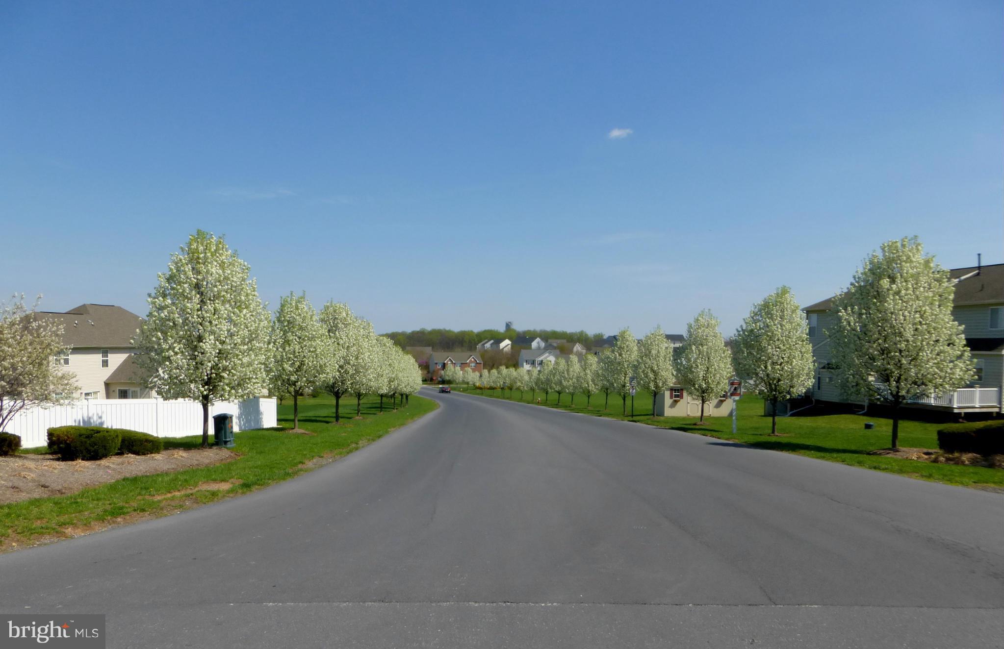 THE GALLERY - Residential Lease