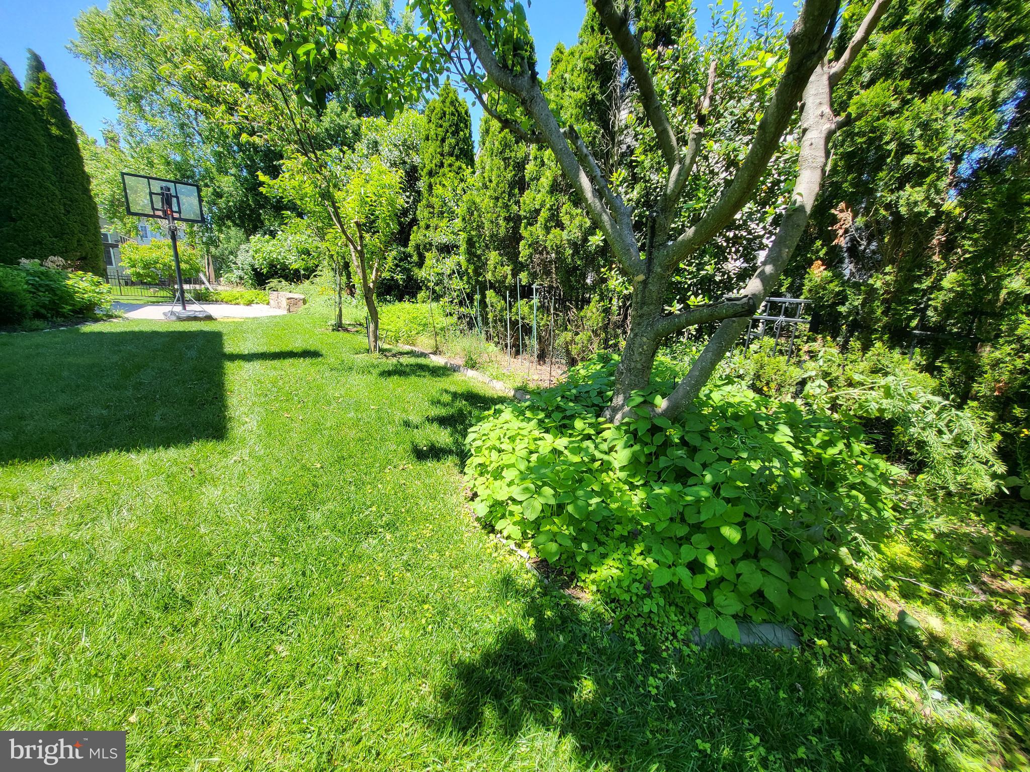 FALLSGROVE - Residential