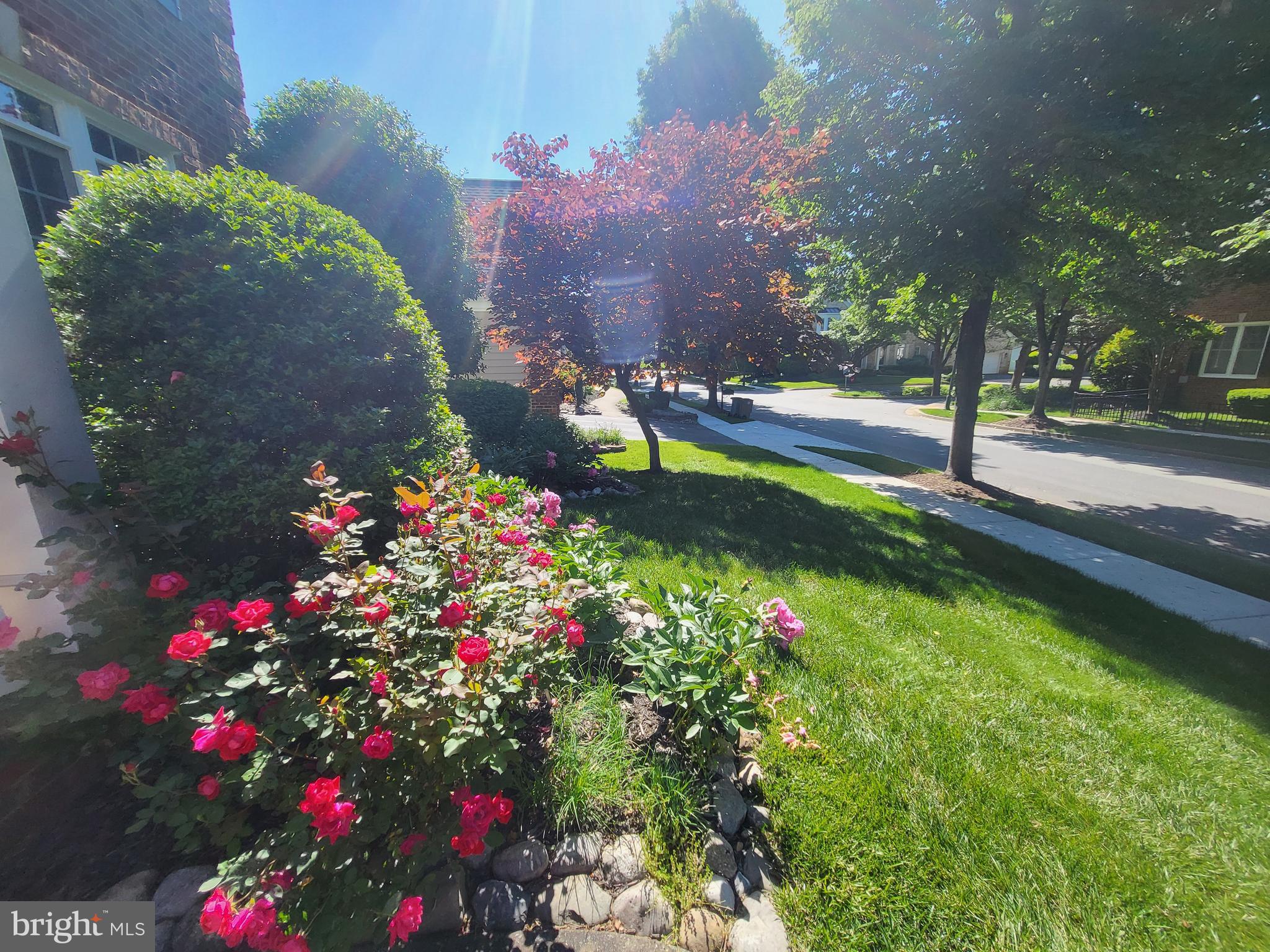 FALLSGROVE - Residential