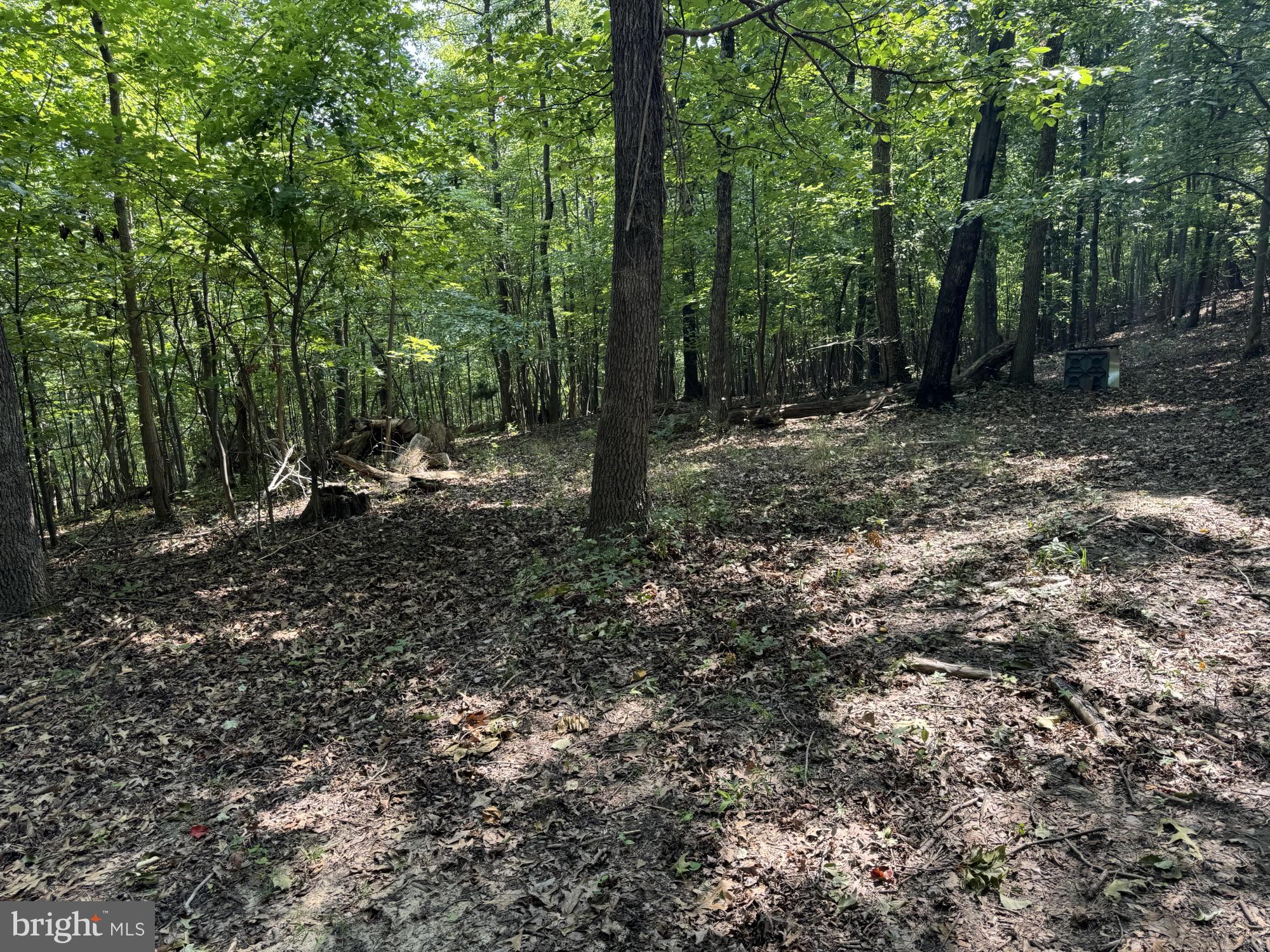 SHEN FARMS RIVERVIEW - Land