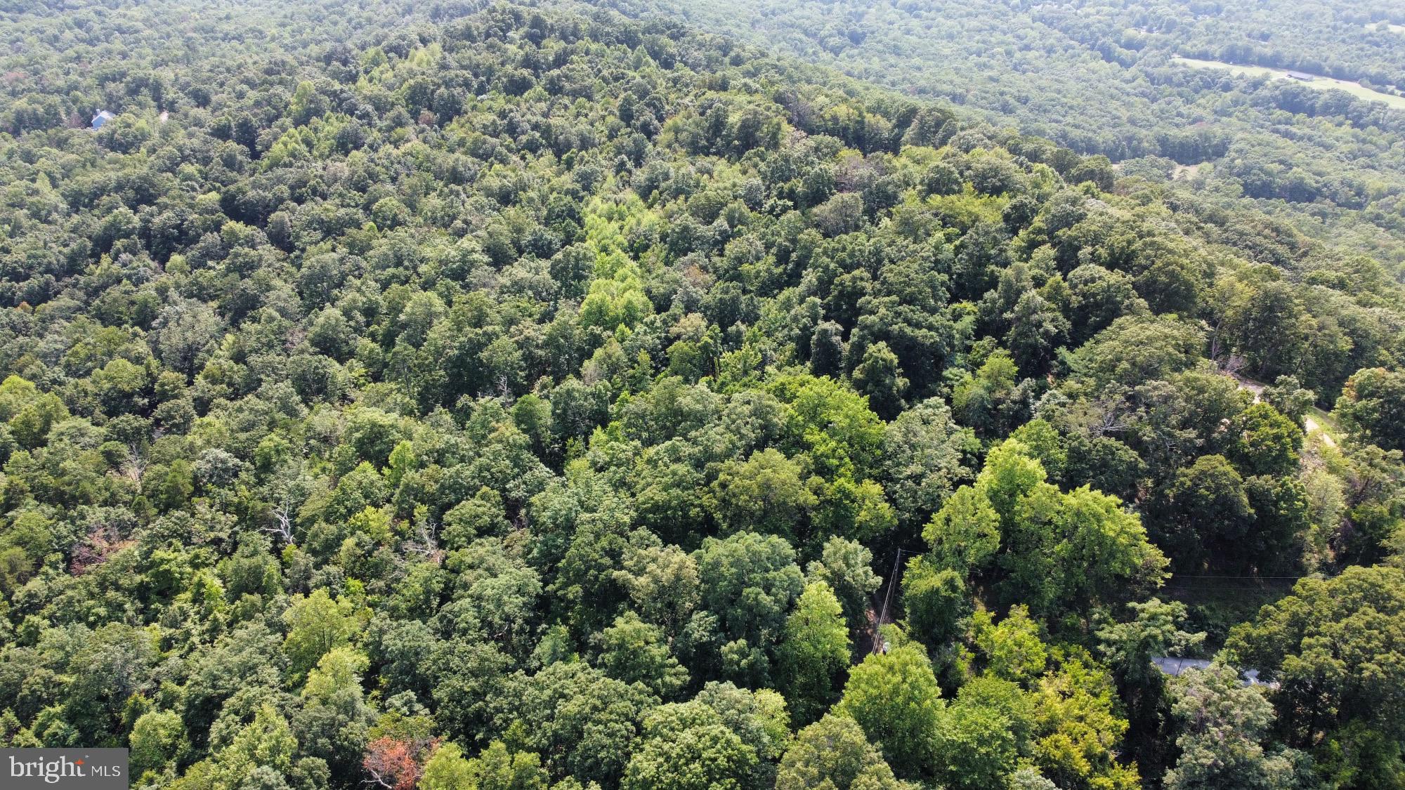 SHEN FARMS RIVERVIEW - Land