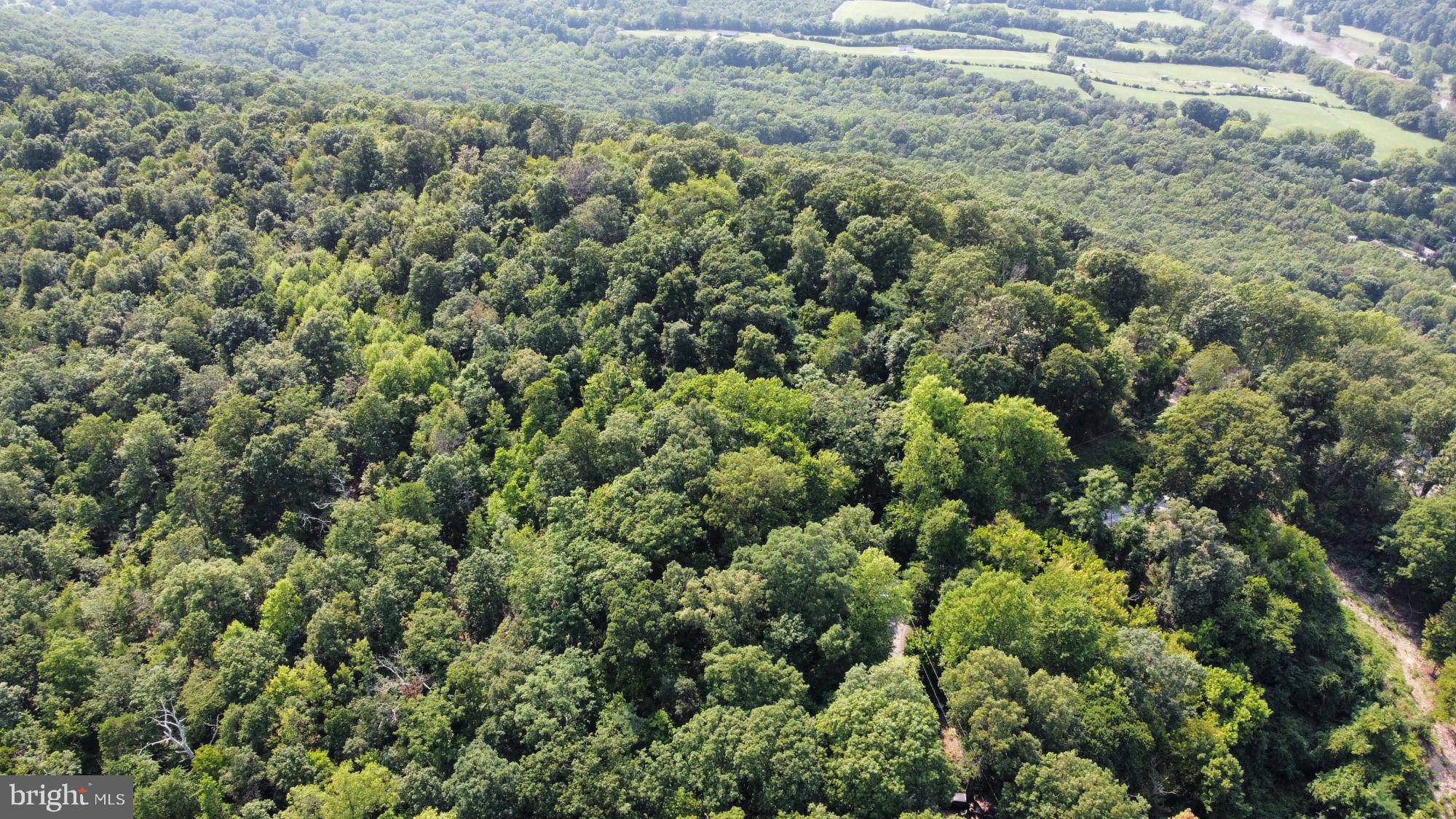 SHEN FARMS RIVERVIEW - Land