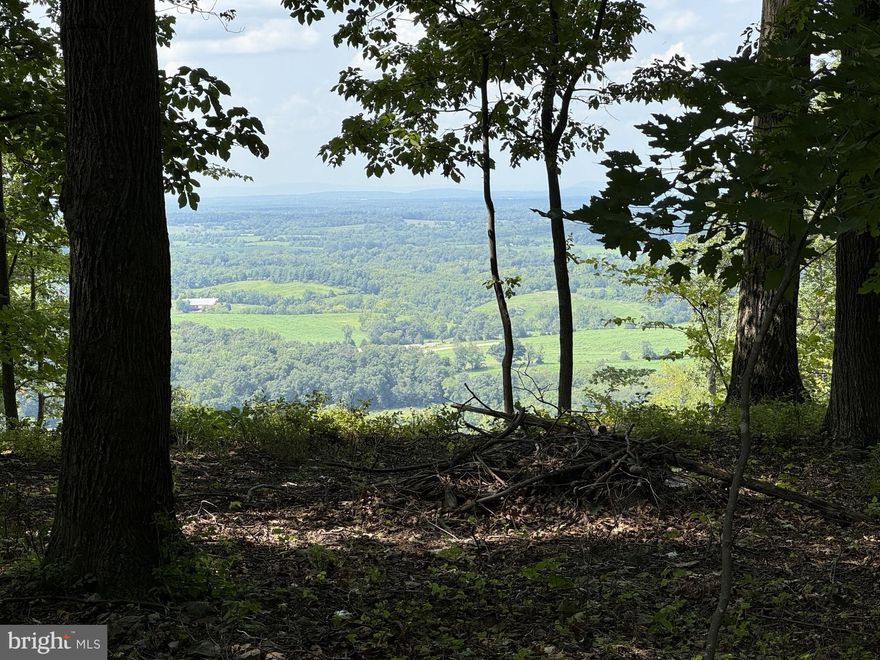 Come build your dream home with some AMAZING VIEWS in the beautiful Shenandoah Farms community. Two lots totaling 1.78 acres offer amazing mountain and valley views. There is a road already cut into the property so some of the work is complete. This is a great location with easy access to I 66, Route 50, and the town of Front Royal. The lot is mostly wooded but easy to navigate. Views like this are hard to find so don't hesitate in scheduling a showing today.