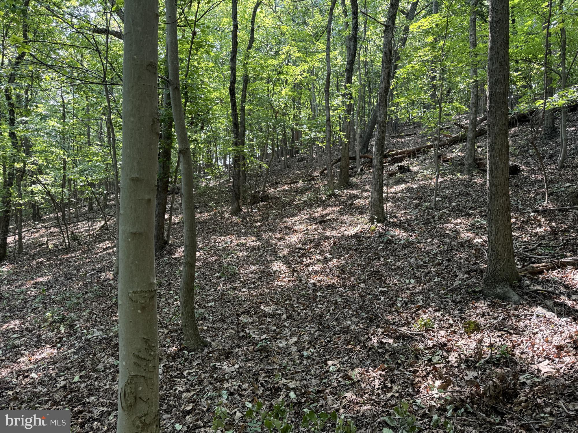 SHEN FARMS RIVERVIEW - Land