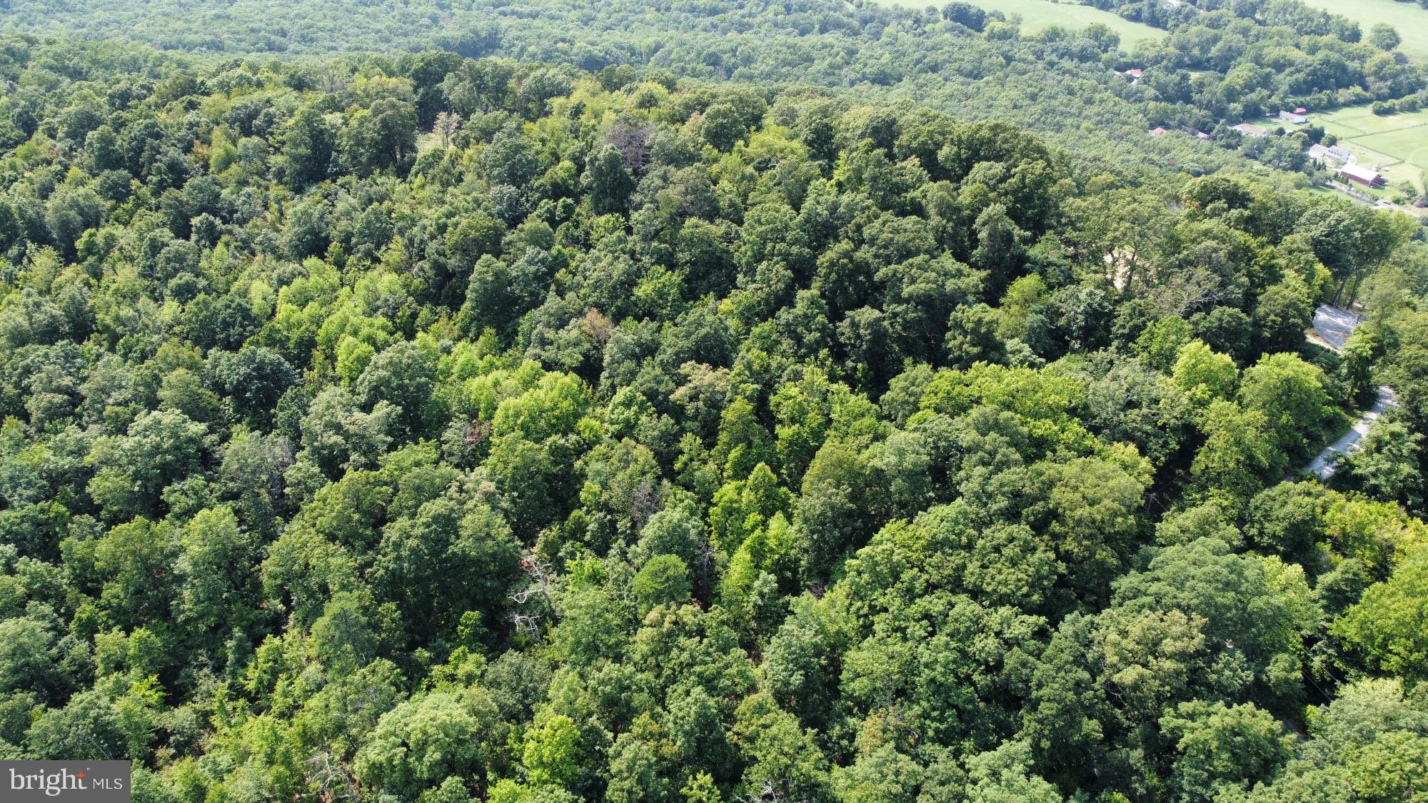 SHEN FARMS RIVERVIEW - Land