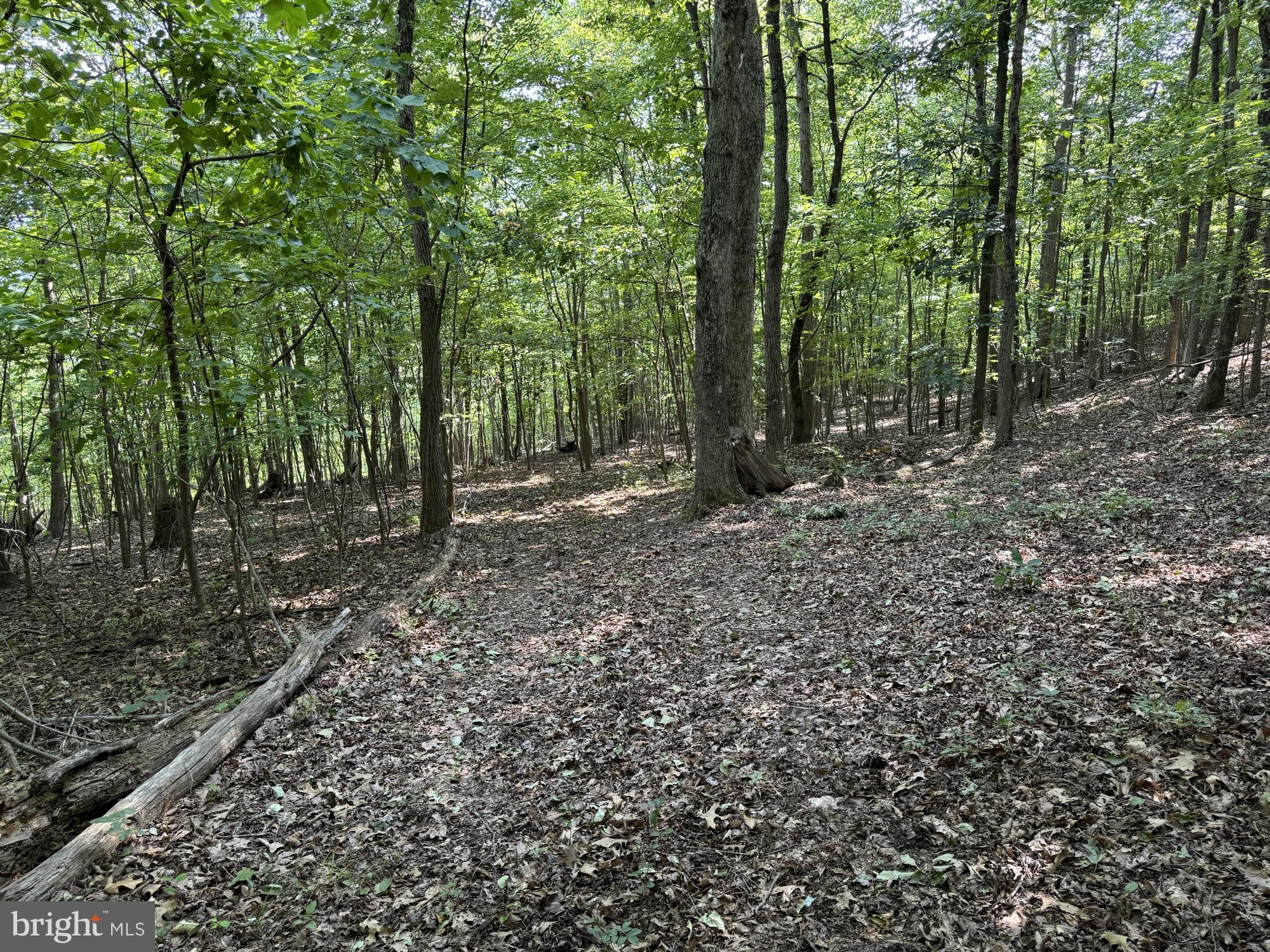 SHEN FARMS RIVERVIEW - Land