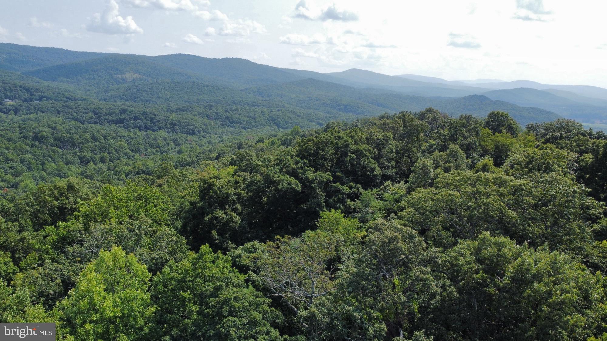 SHEN FARMS RIVERVIEW - Land