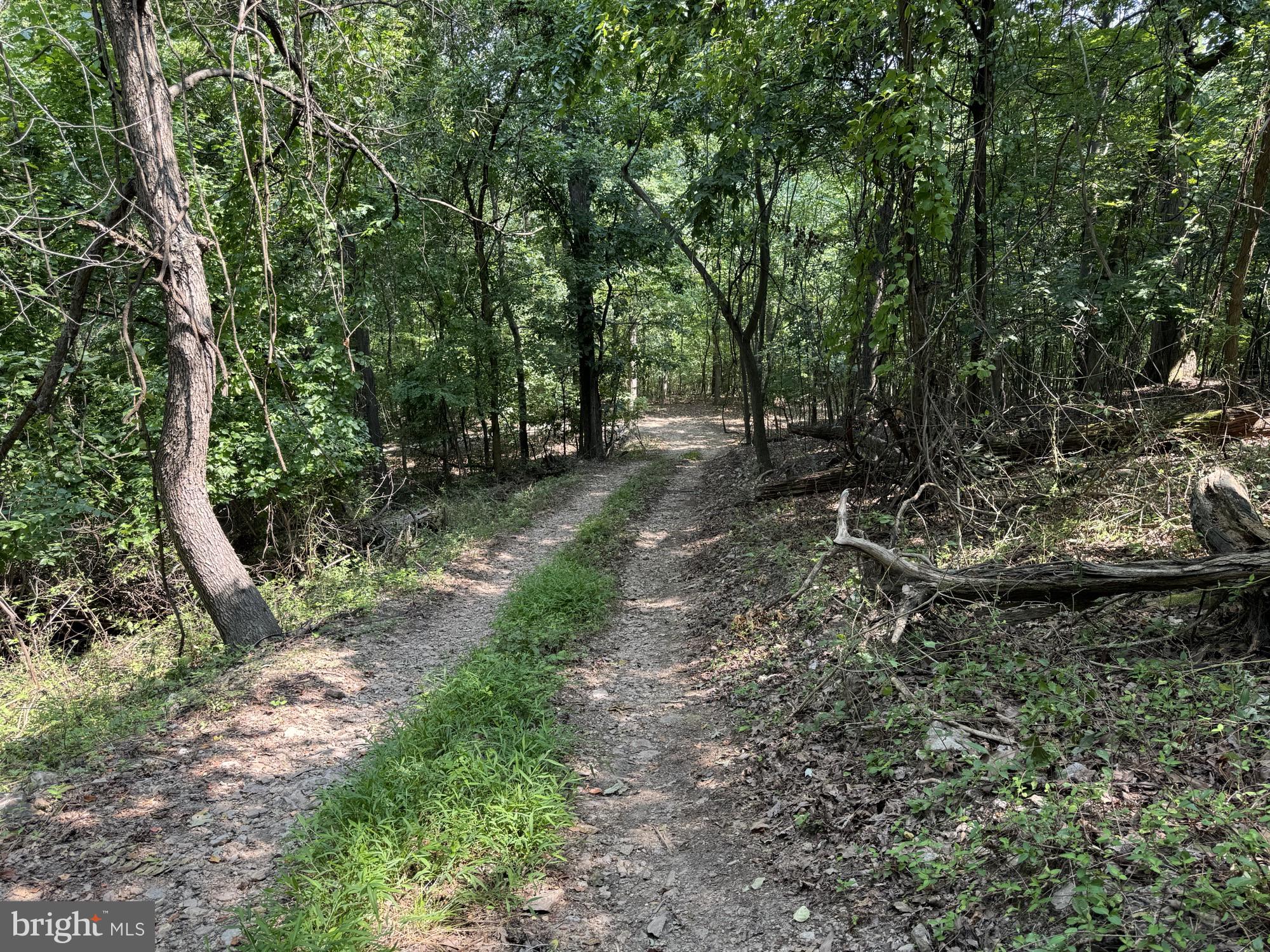 SHEN FARMS RIVERVIEW - Land