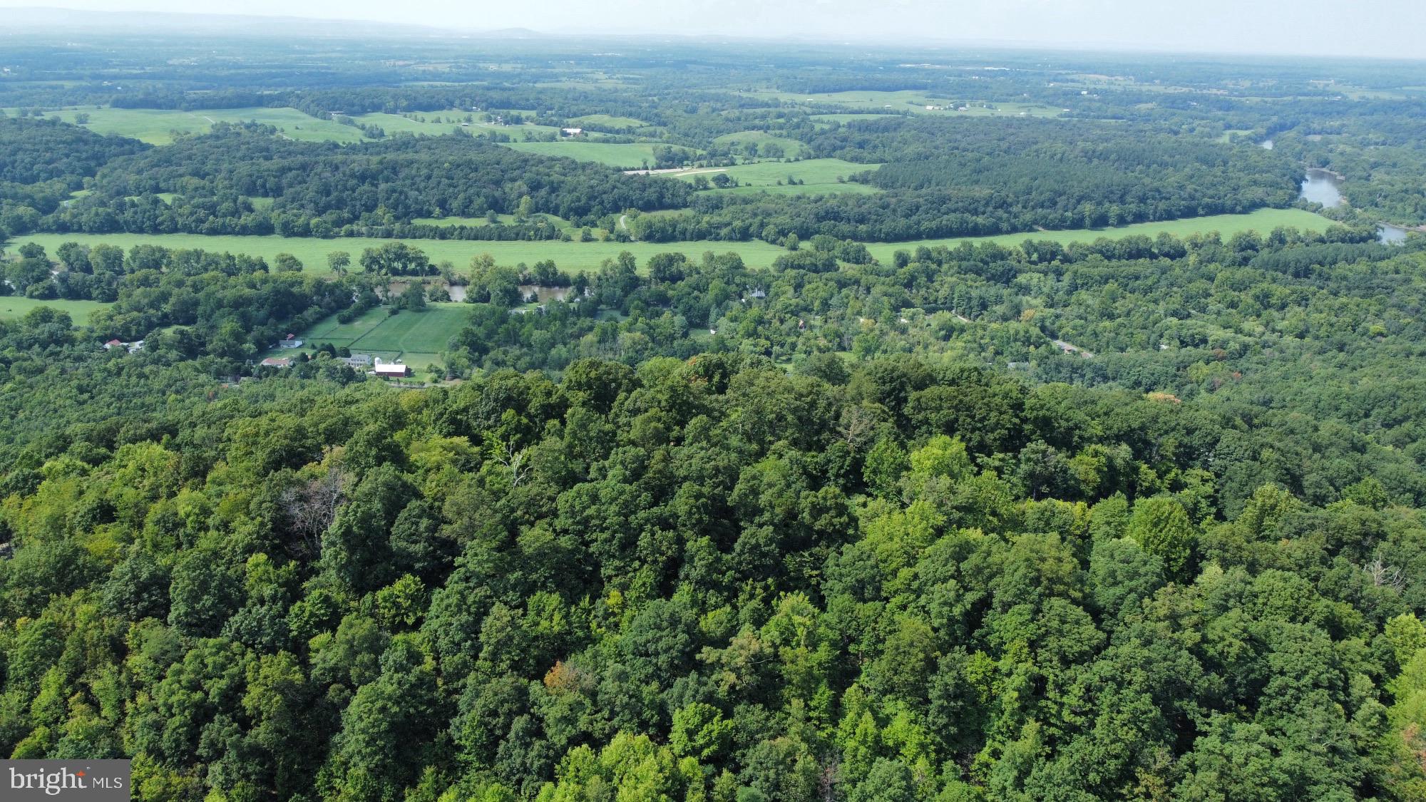 SHEN FARMS RIVERVIEW - Land