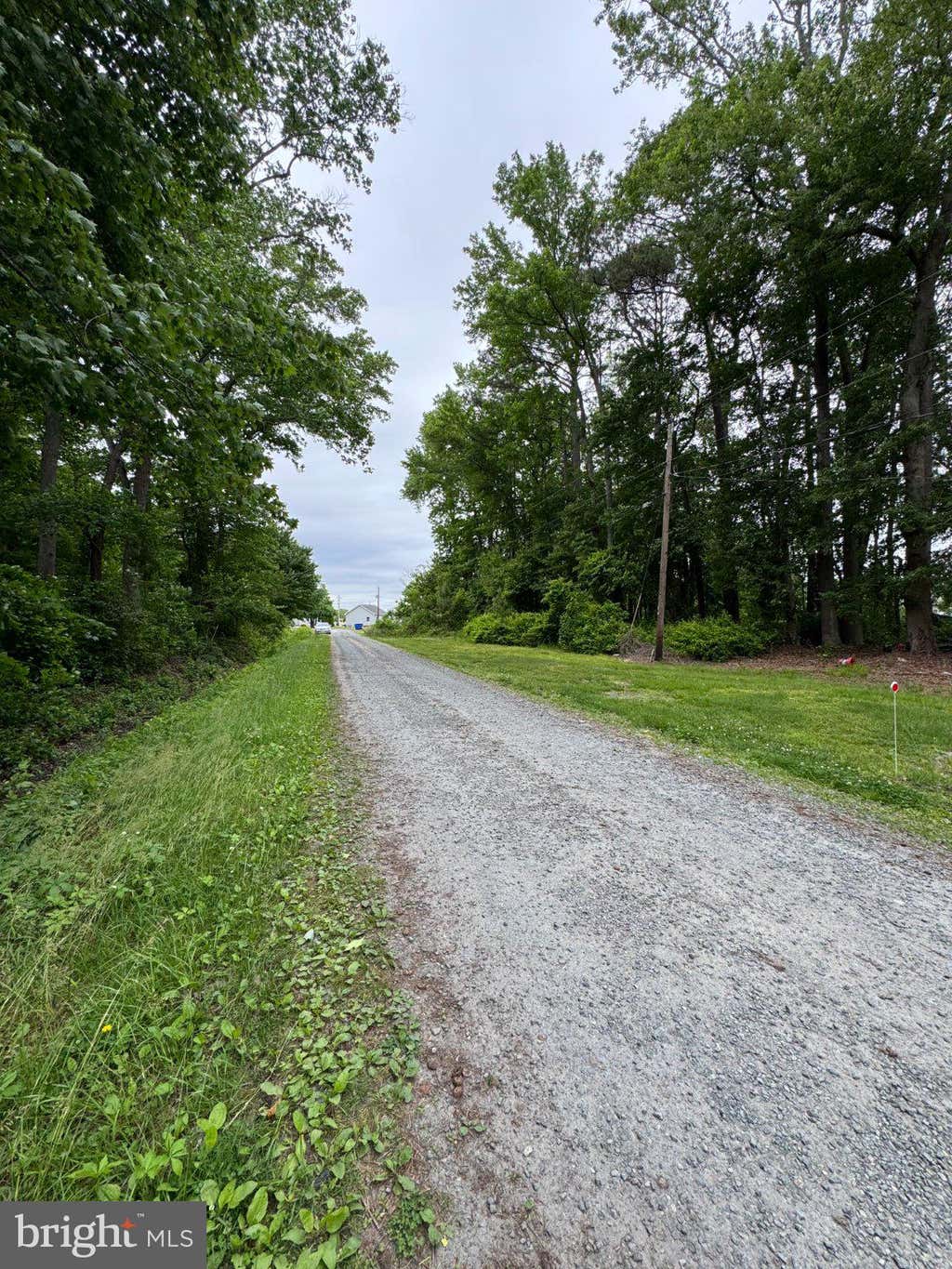 Photo of 36129 New Marydels Rd, FRANKFORD, DE 19945 (MLS # DESU2105276)