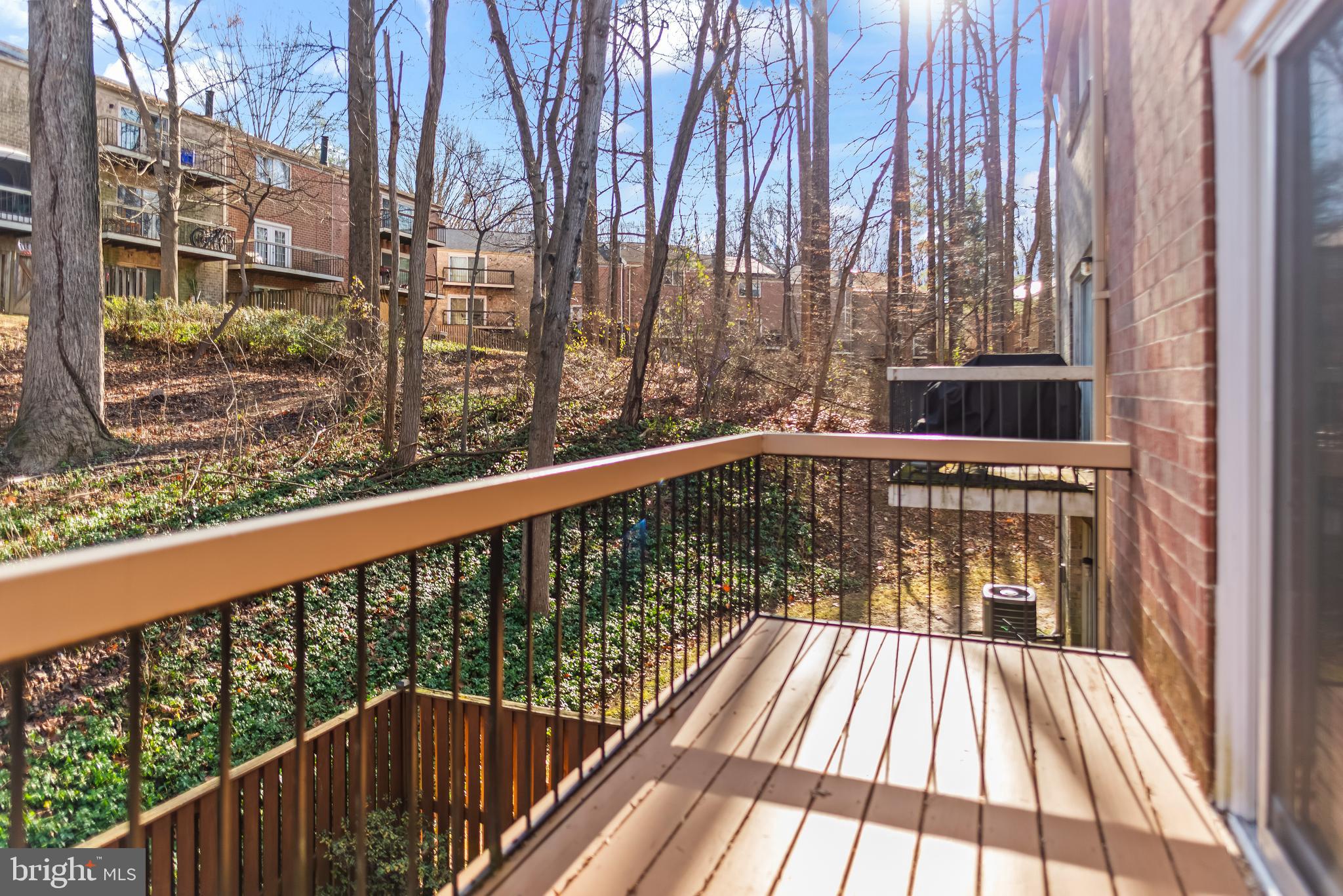 CLARY'S FOREST - Residential Lease