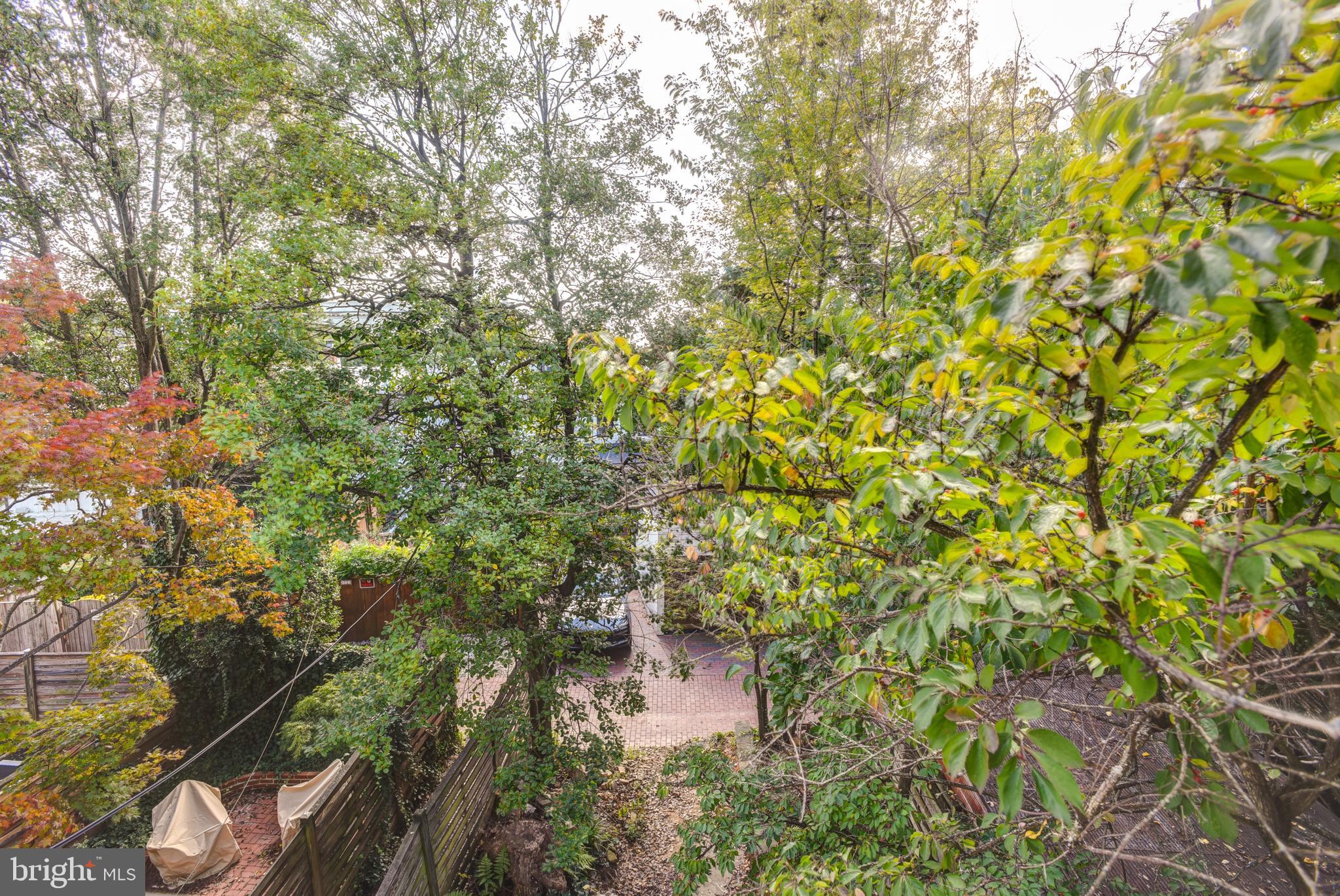 GEORGETOWN - Residential Lease