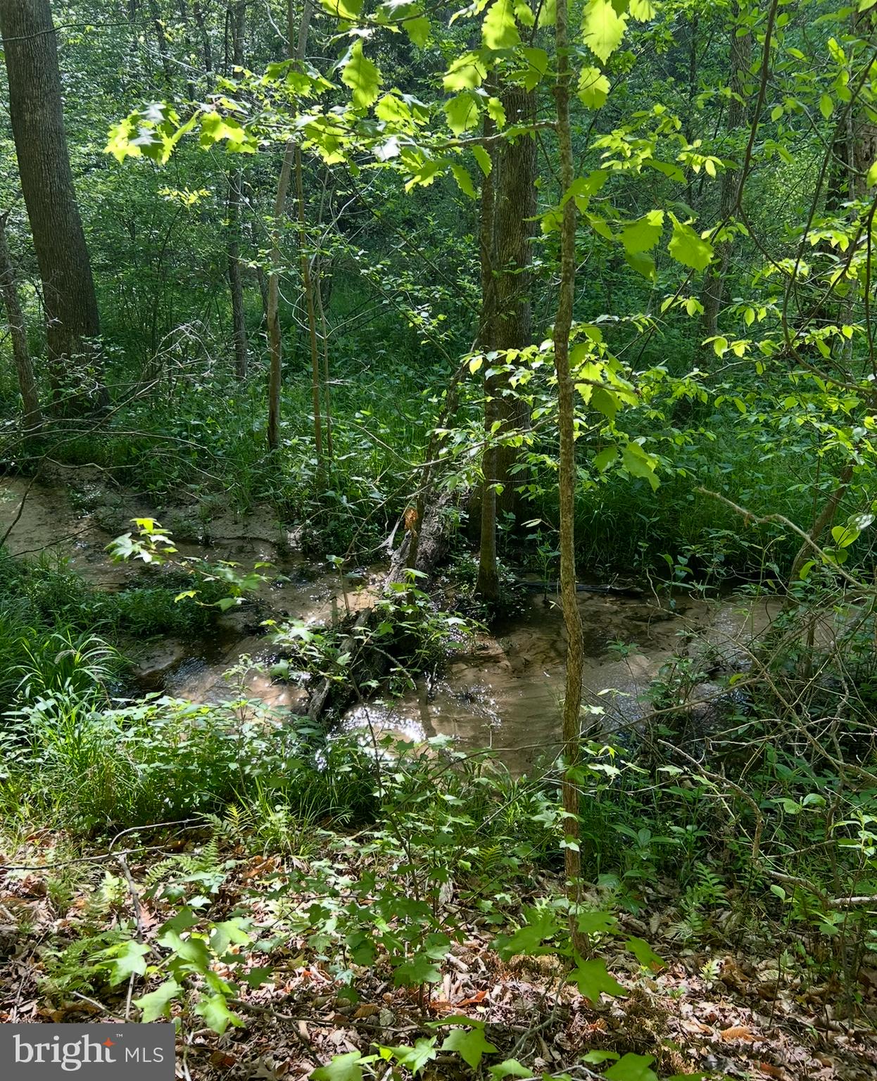 LOT 3 WALLACE STREET