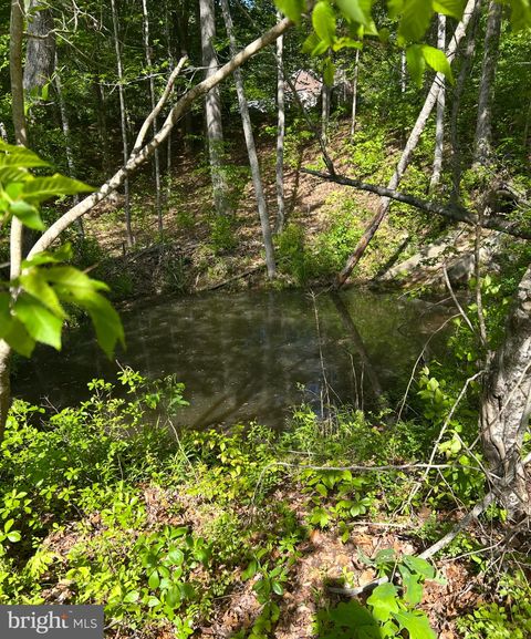 Vacant Land For Sale - LOT 3 Wallace Street<br/> WARSAW, VA 22572