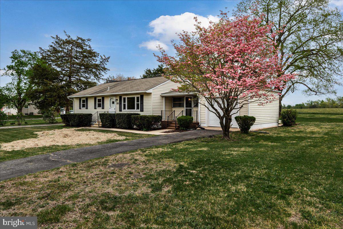 PEACH LAWN - Residential