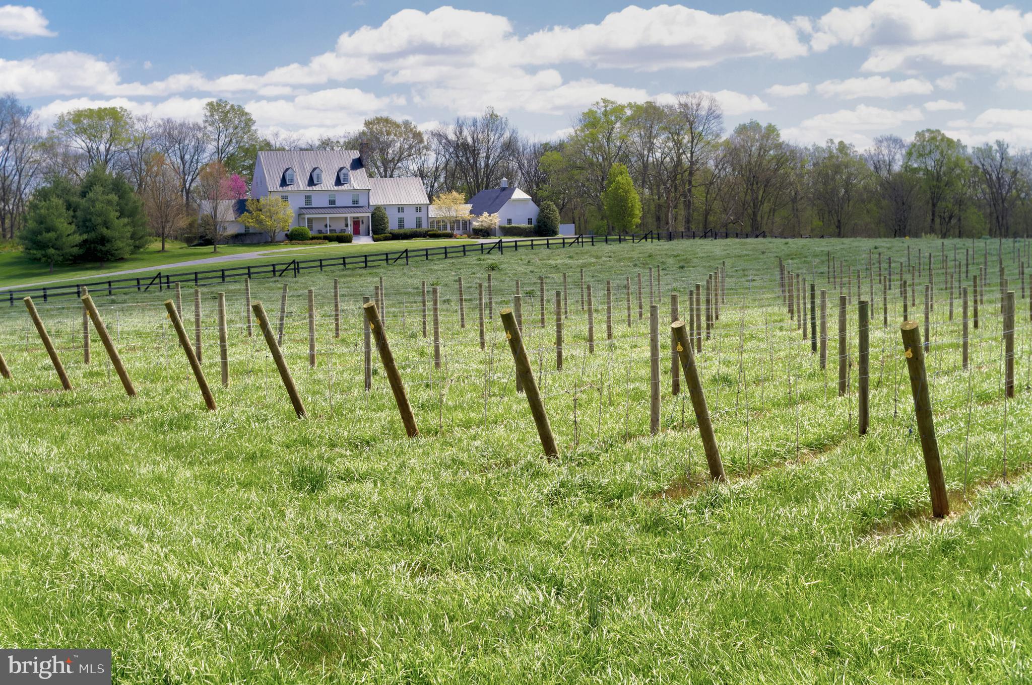 BIG SPRING FARM - Residential