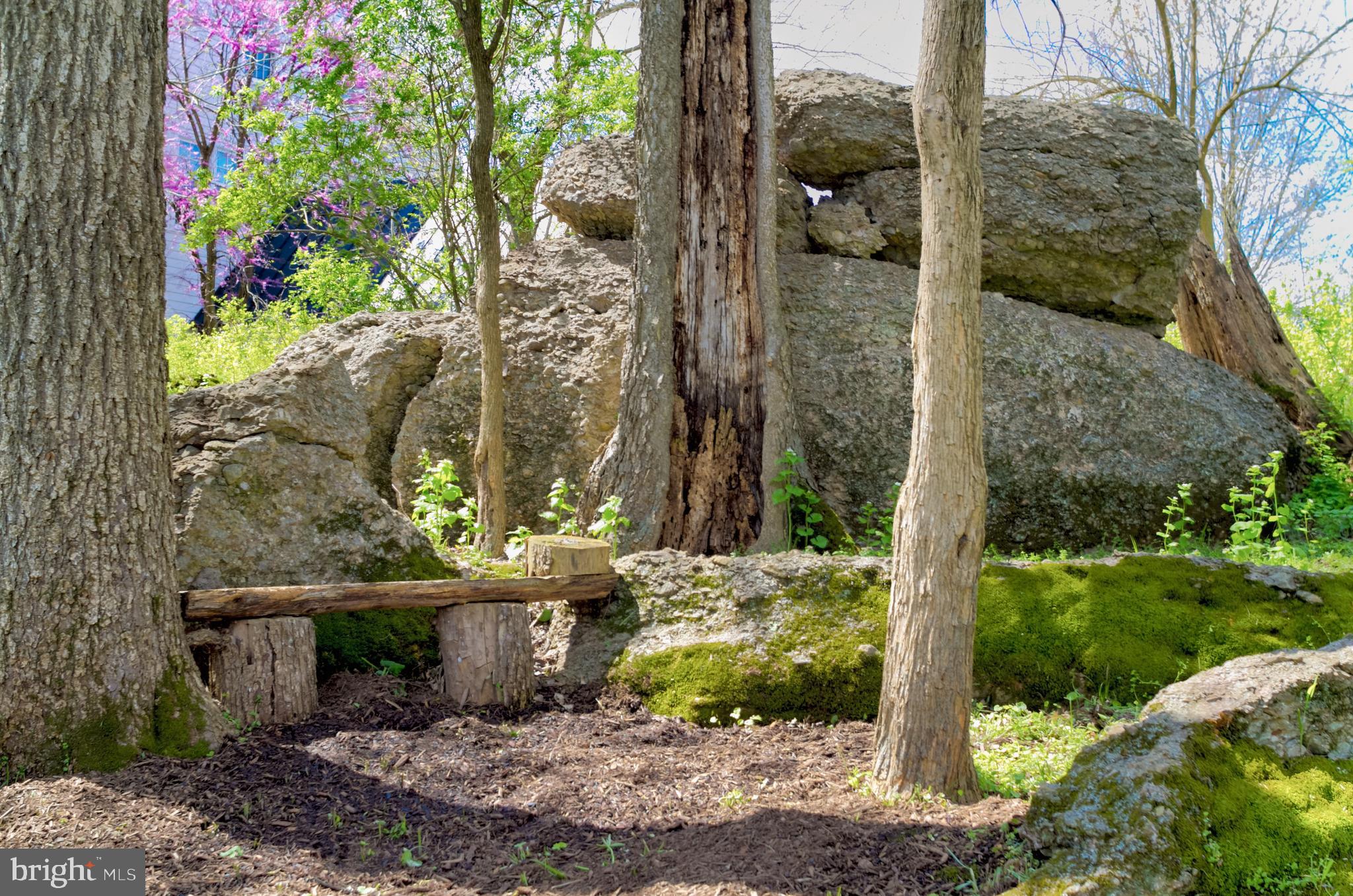 BIG SPRING FARM - Residential