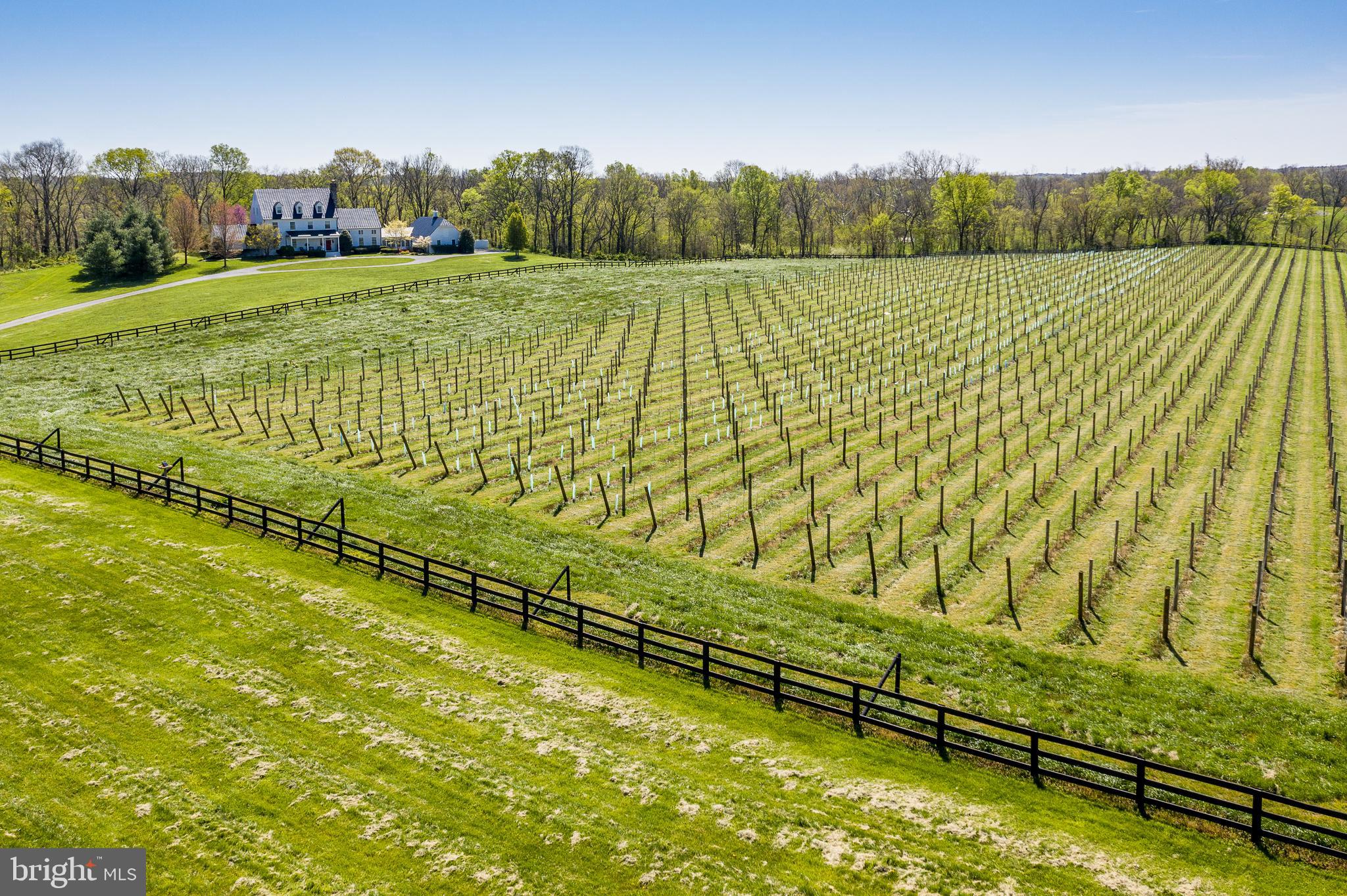 BIG SPRING FARM - Residential