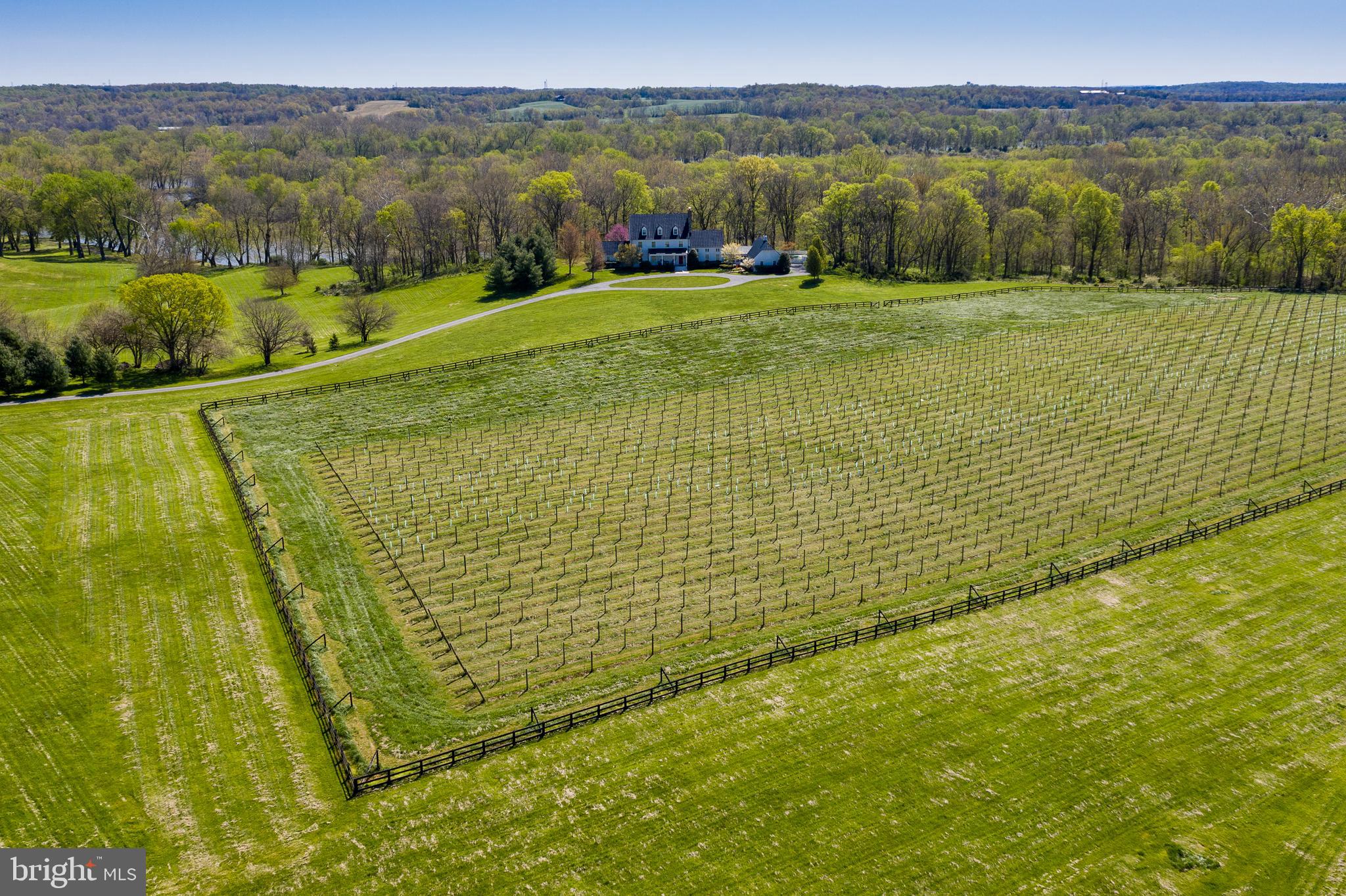 BIG SPRING FARM - Residential