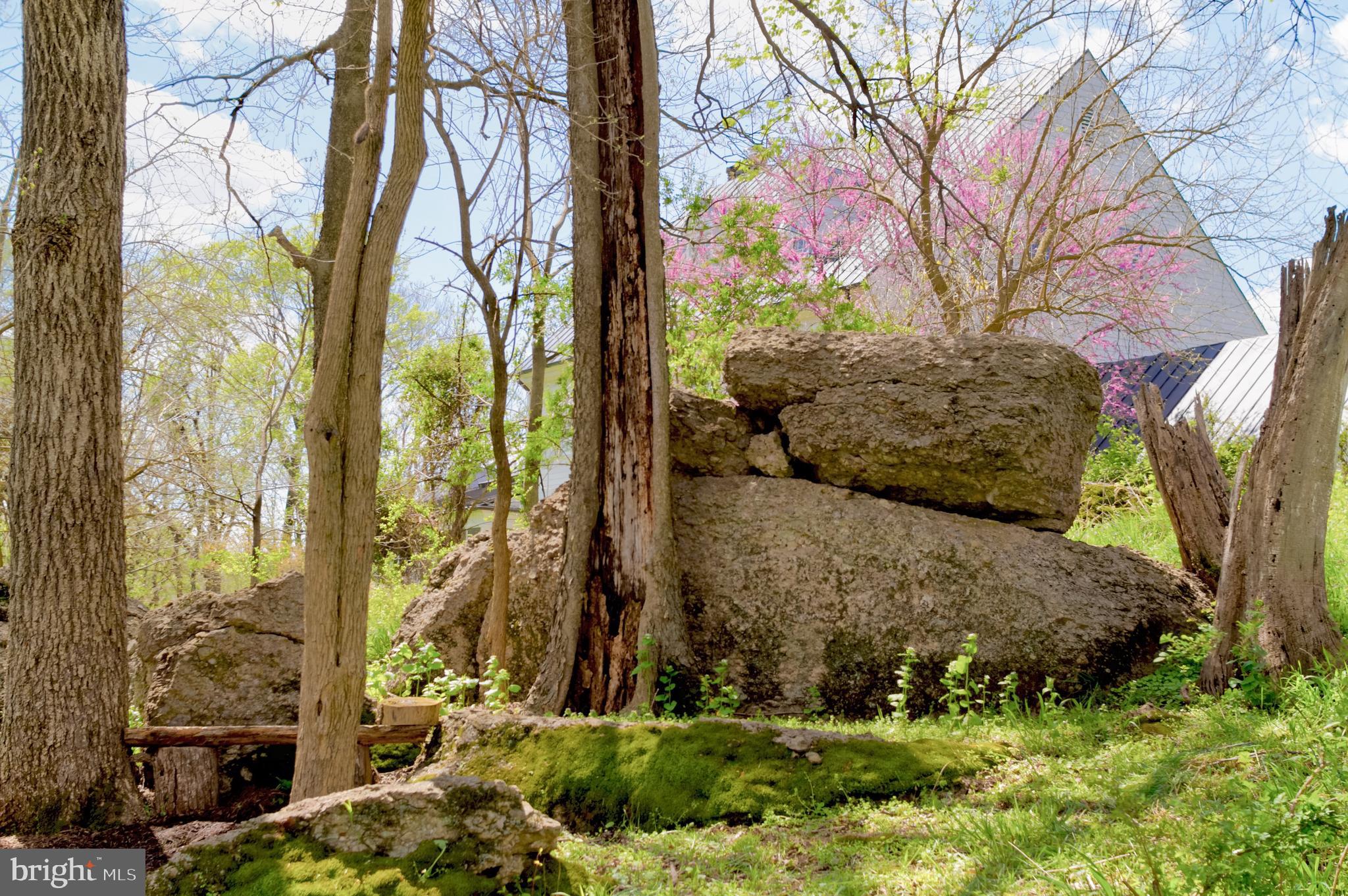 BIG SPRING FARM - Residential