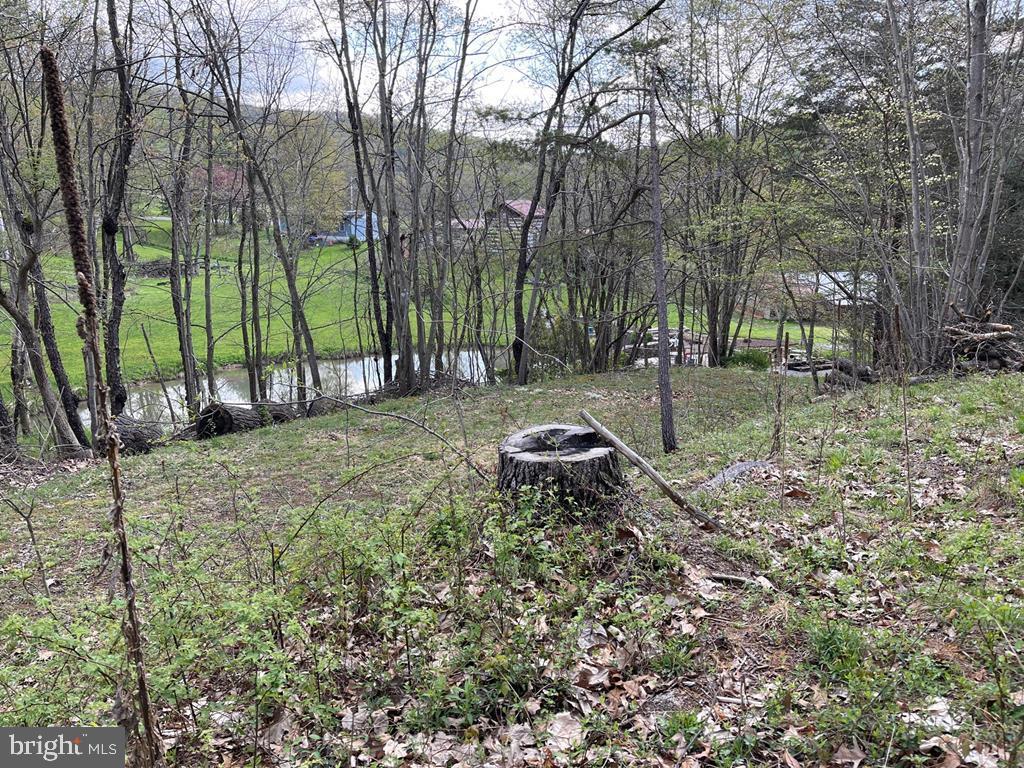 Escape to Nature – Campers Welcome! Nestled in the heart of Juniata County, this 1.27-acre rural recreational lot is the perfect place to create your private retreat. Whether you're looking for a peaceful getaway or a basecamp for outdoor adventures, this property delivers! Surrounded by wooded lots, offering privacy and serenity. Pond views add to the scenic beauty. Electric service on-site for convenience.
Close to state lands—ideal for hiking, hunting, and exploring nature.
Ready to see it for yourself? Call today for a personal tour!