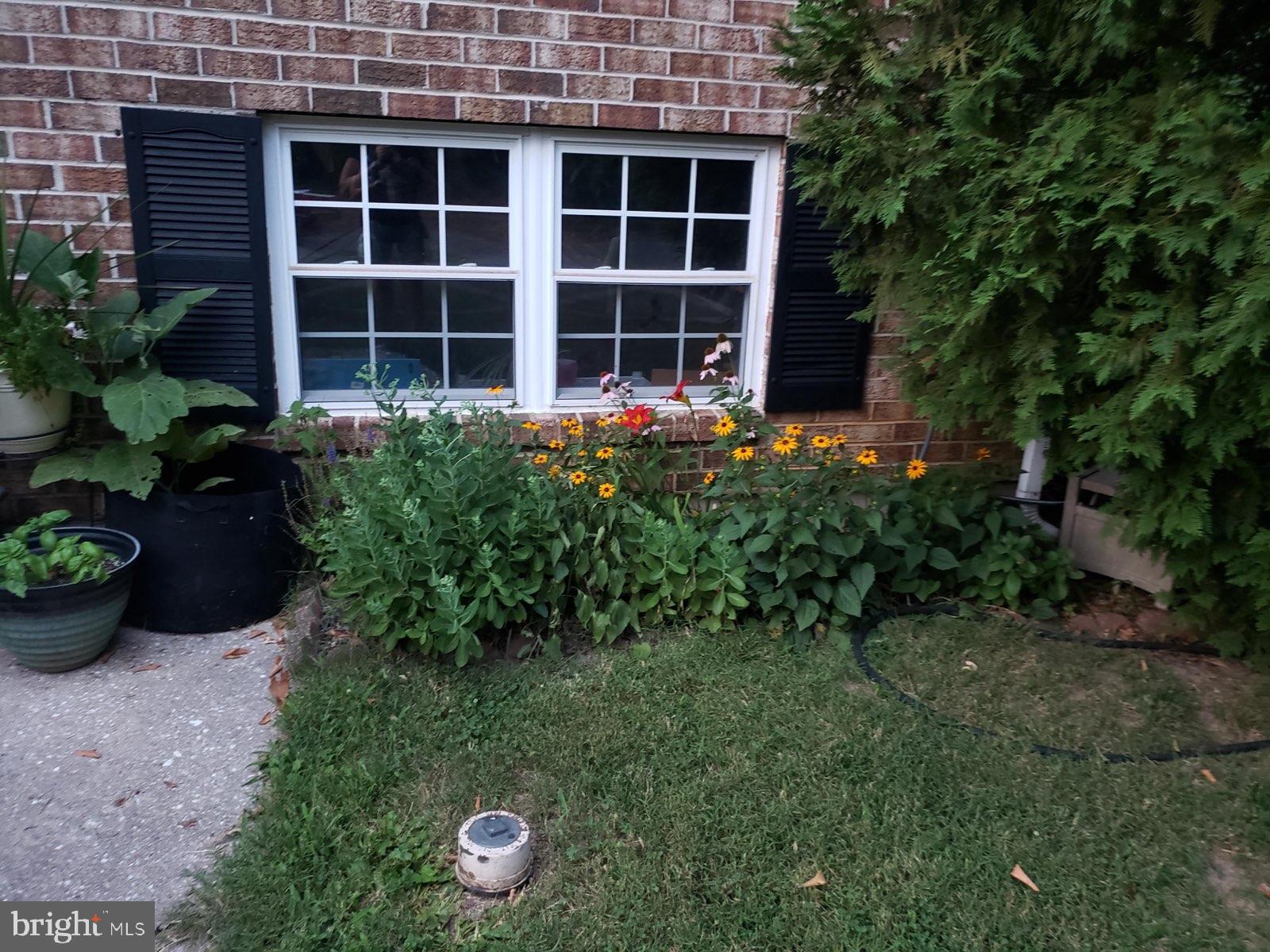 FORESTVIEW - Residential