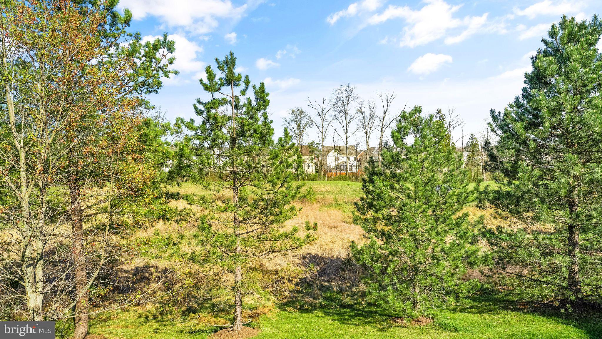 BRAMBLETON - Residential