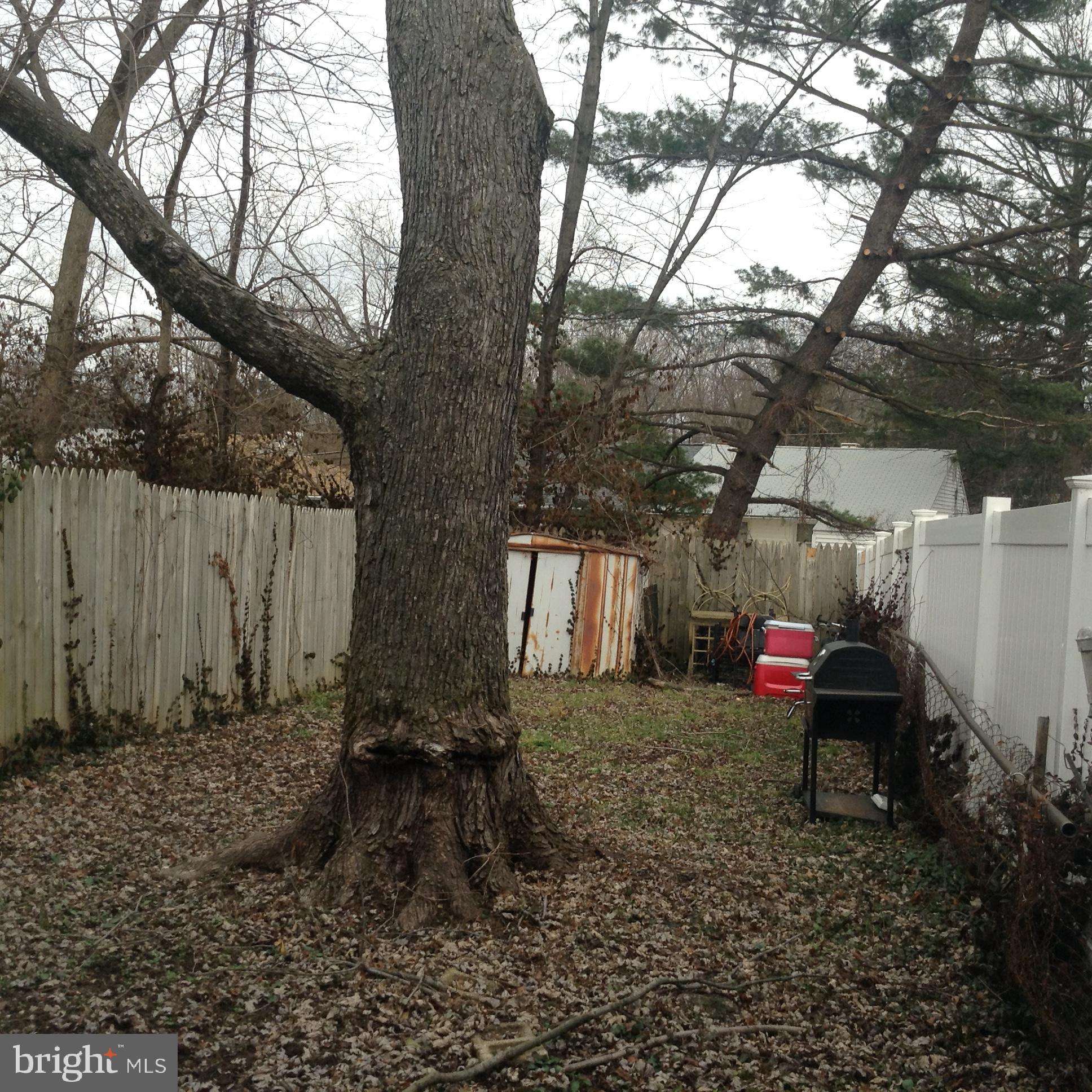 PALMER PARK - Residential