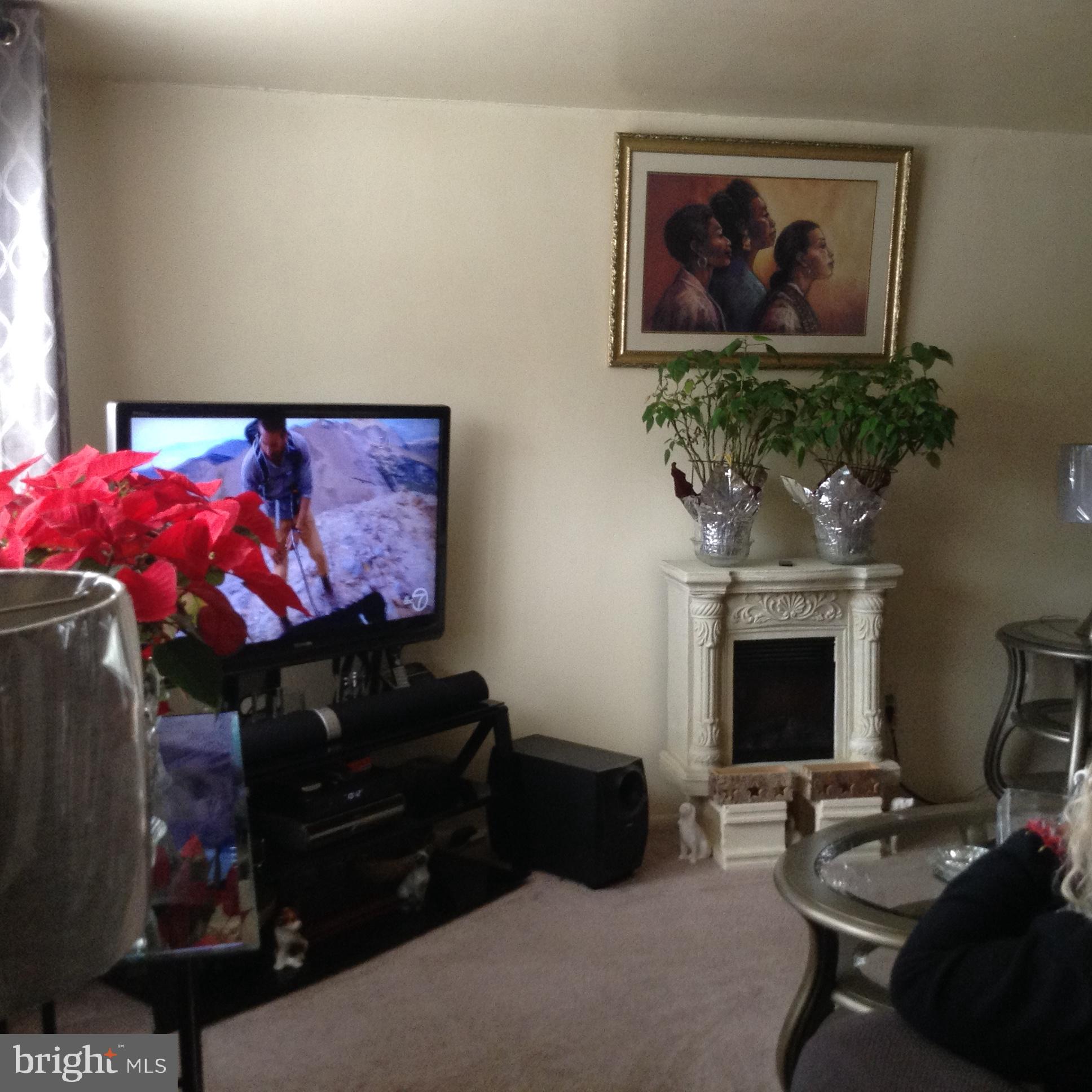 PALMER PARK - Residential