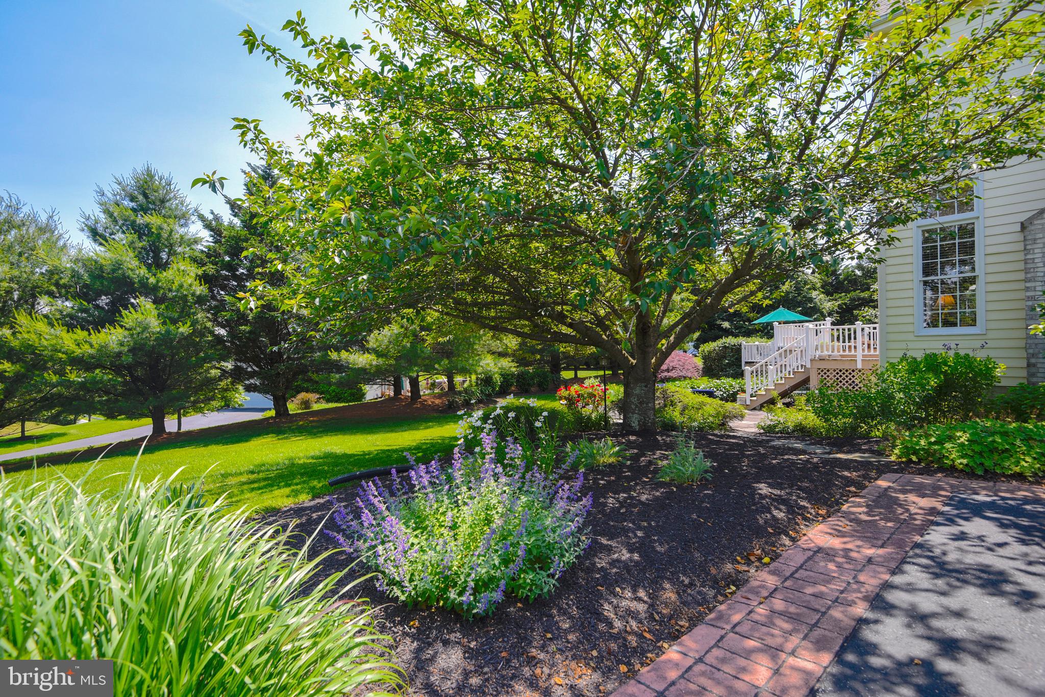 PRESERVE AT WINDLASS RUN - Residential