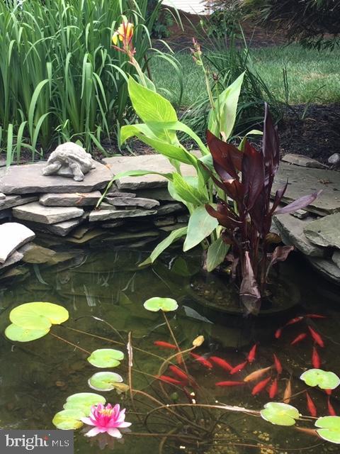 PRESERVE AT WINDLASS RUN - Residential