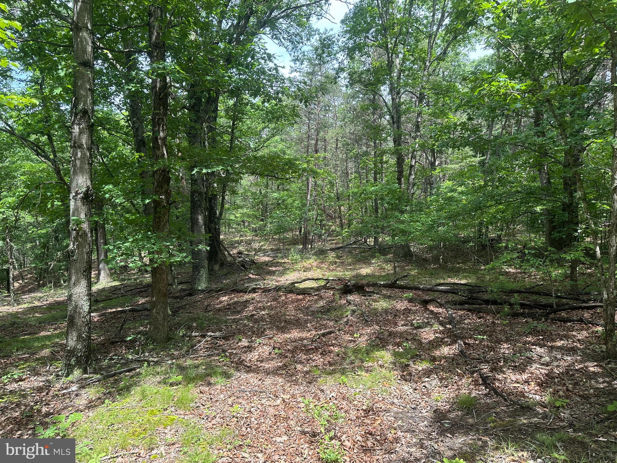 DEER RIDGE ESTATES - Land