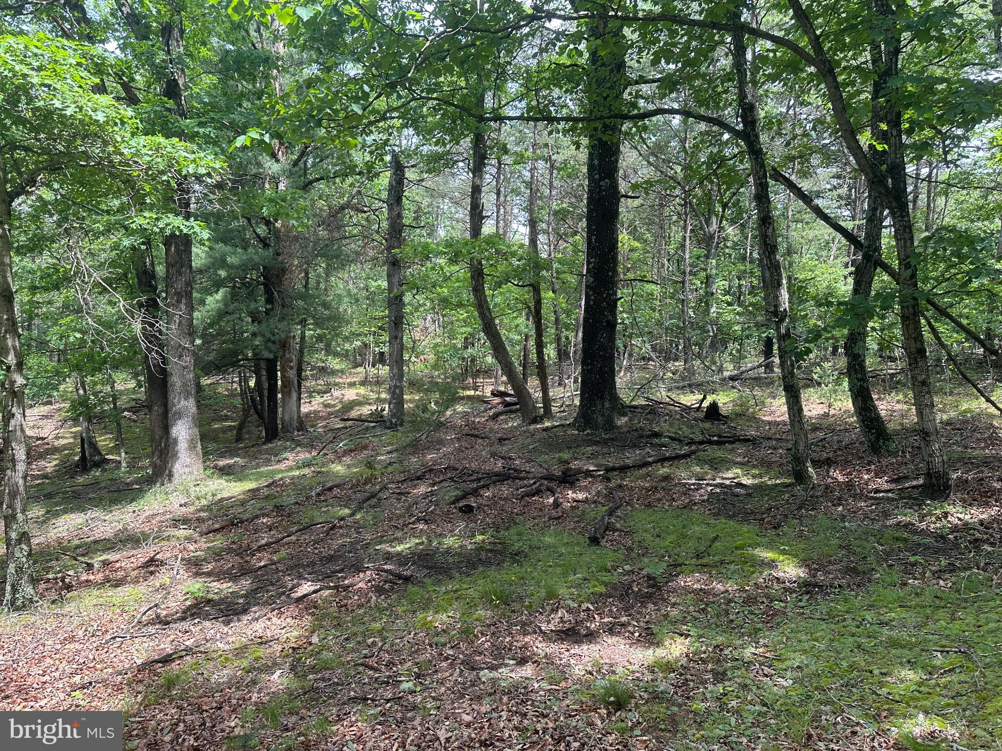 DEER RIDGE ESTATES - Land