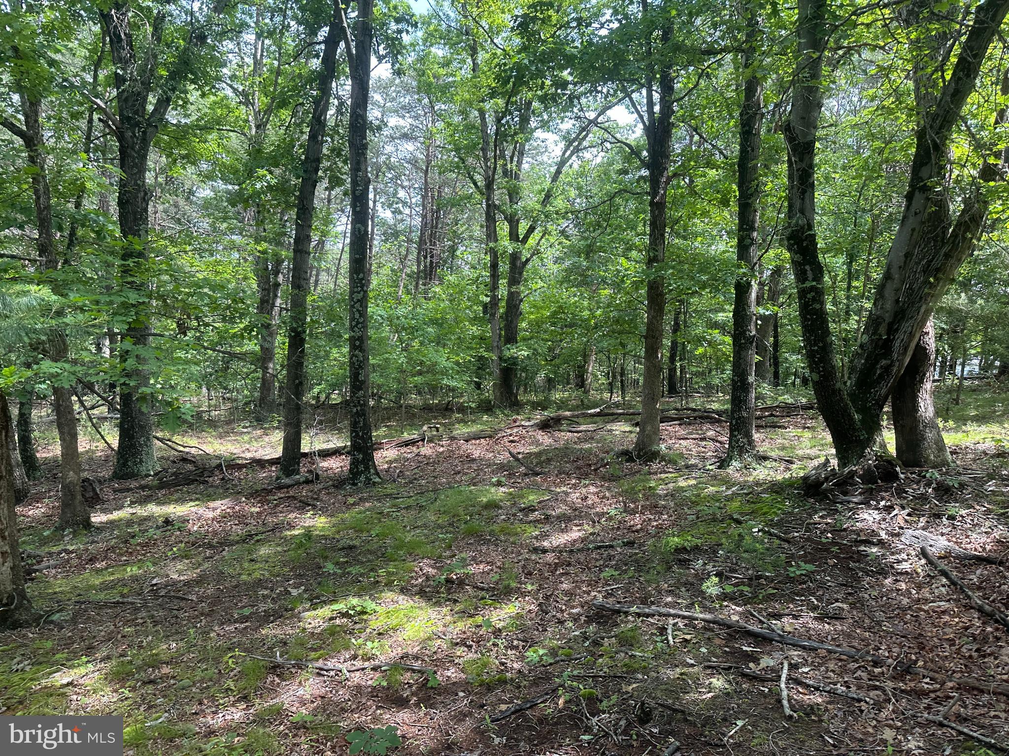 DEER RIDGE ESTATES - Land