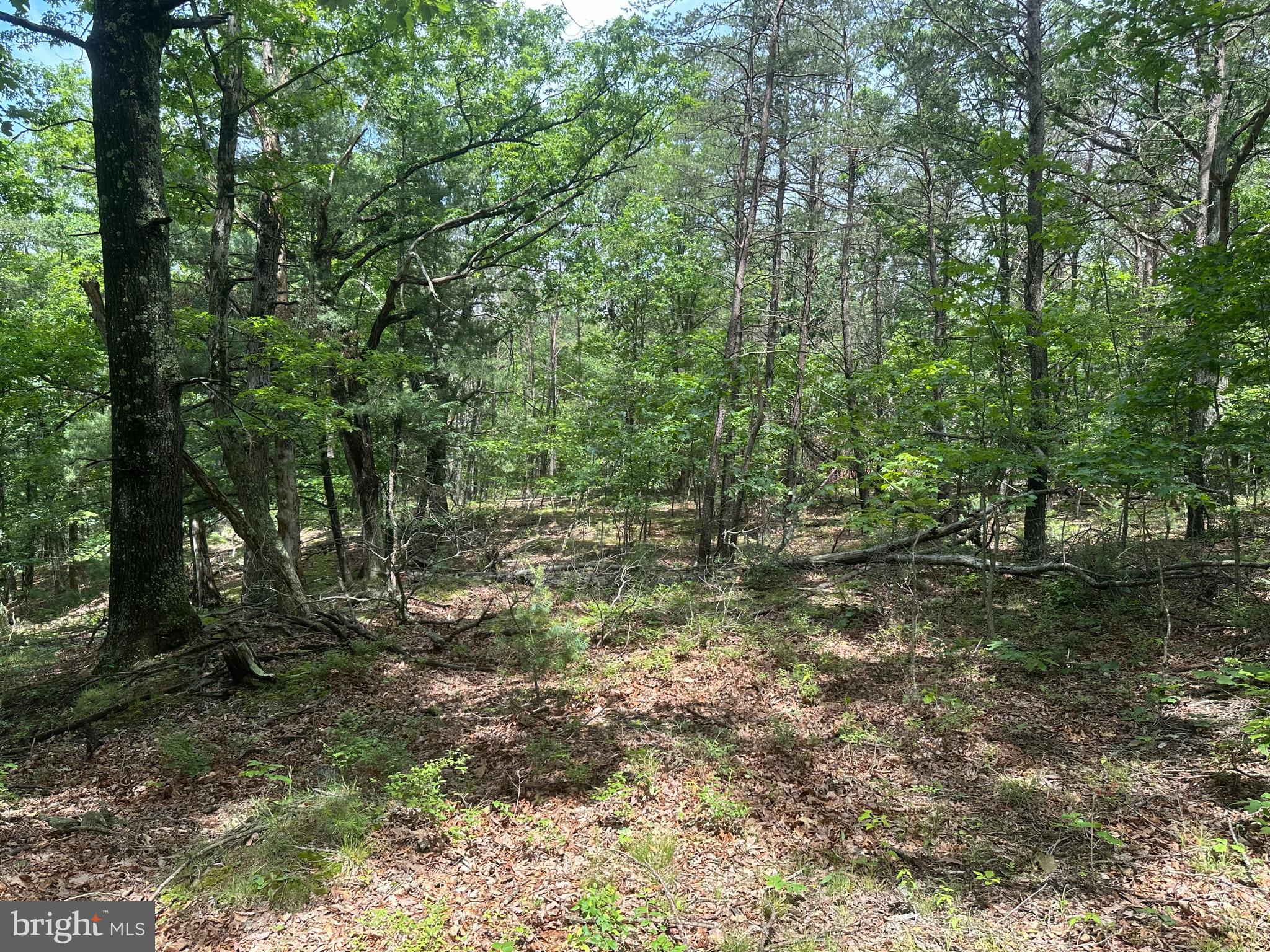 DEER RIDGE ESTATES - Land