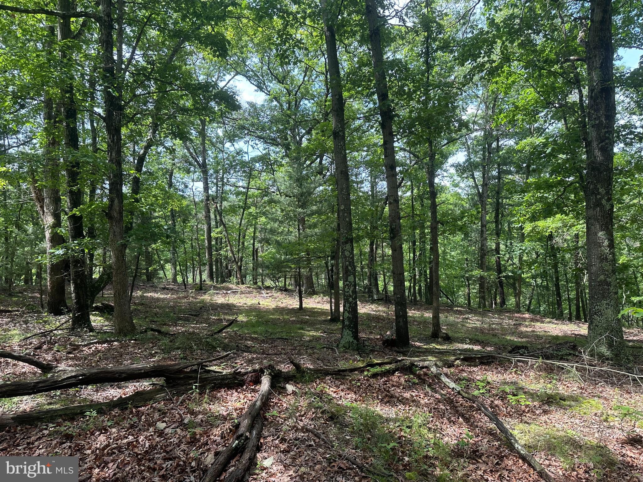 DEER RIDGE ESTATES - Land