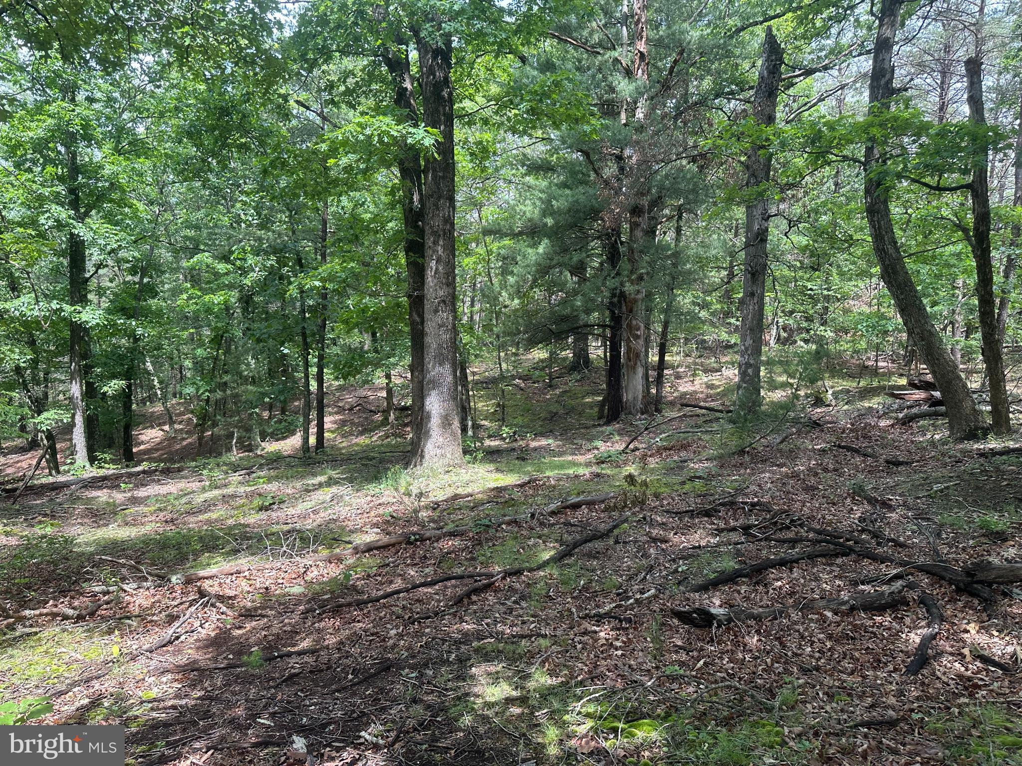 DEER RIDGE ESTATES - Land