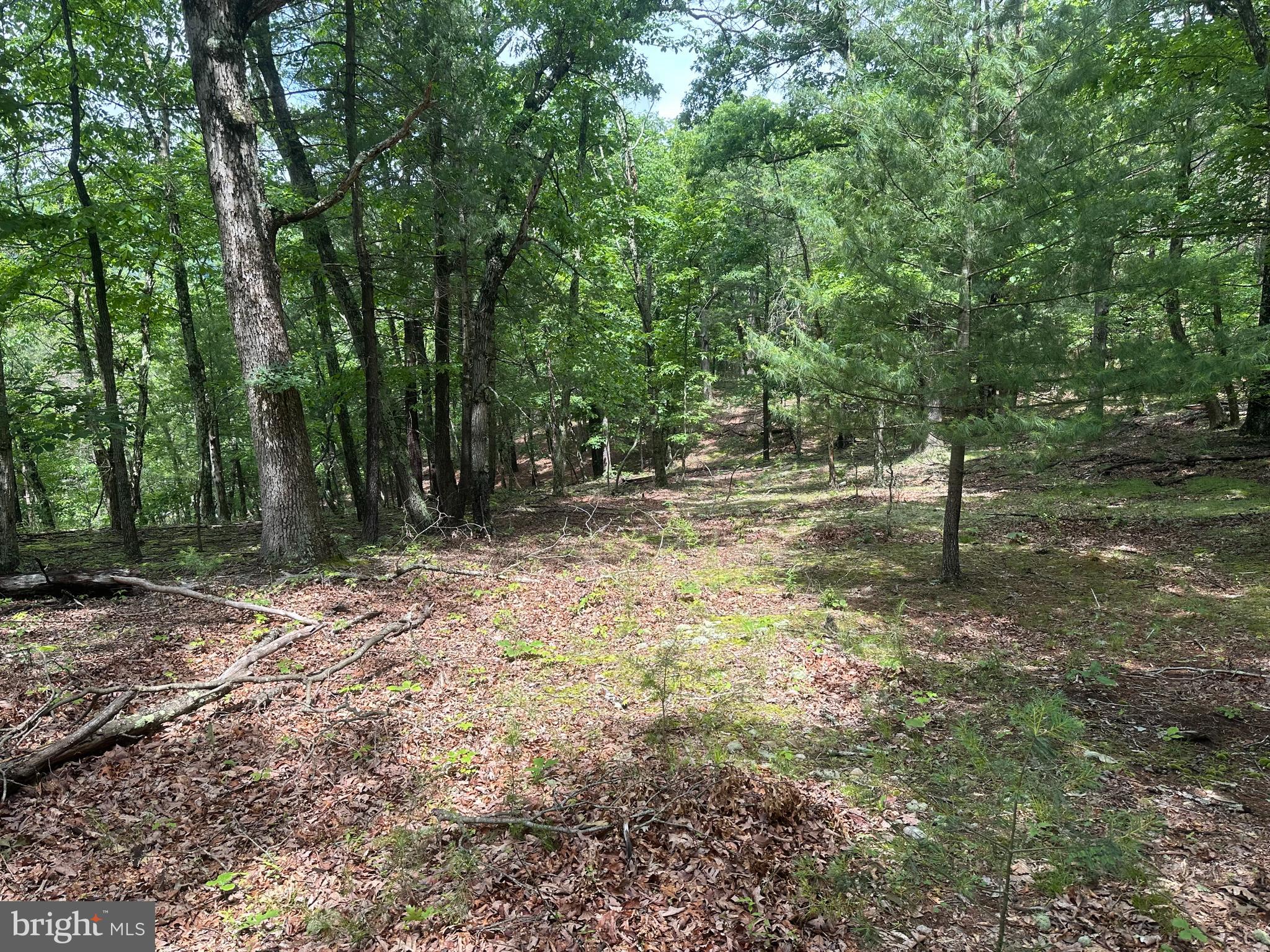 Tucked away at the quiet end of a cul-de-sac in the desirable Deer Ridge Estates, this 2.23-acre wooded lot offers a rare combination of privacy, convenience, and potential. Located just outside Springfield, West Virginia, the property provides the kind of peaceful seclusion that’s getting harder to find, while still offering easy access to Winchester, Virginia, and Cumberland, Maryland. Whether you’re a commuter, a weekend warrior, or simply looking for a quiet escape, this location puts you close enough to the essentials without sacrificing solitude. The lot is densely wooded with mature hardwoods and features excellent topography, including multiple level building sites ideal for your dream home or cabin. Electricity is already available at the property line, making the transition from raw land to build-ready that much easier. Whether you’re planning a permanent residence, a mountain getaway, or a solid land investment, this parcel checks all the right boxes: peaceful setting, desirable neighborhood, and space to bring your vision to life. If you’re ready to escape the noise and build something lasting in the West Virginia hills, this property deserves a serious look.