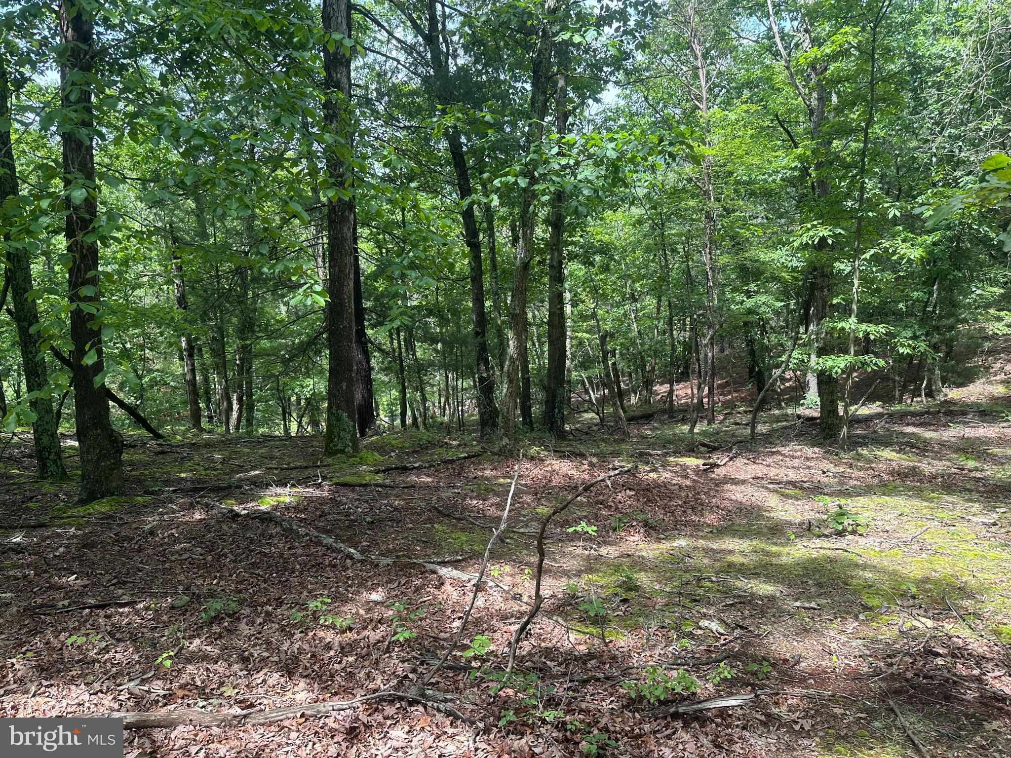 DEER RIDGE ESTATES - Land