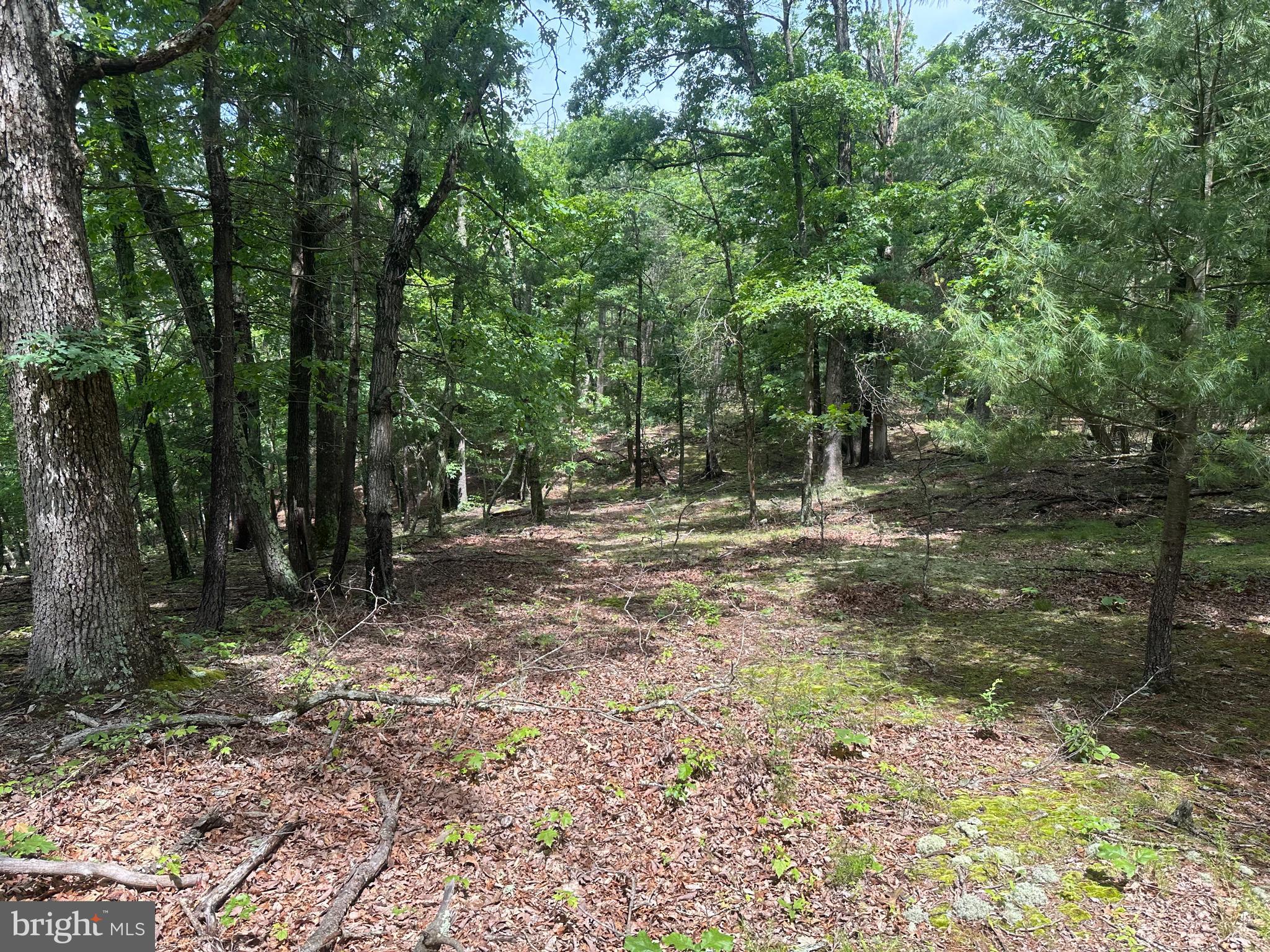 DEER RIDGE ESTATES - Land