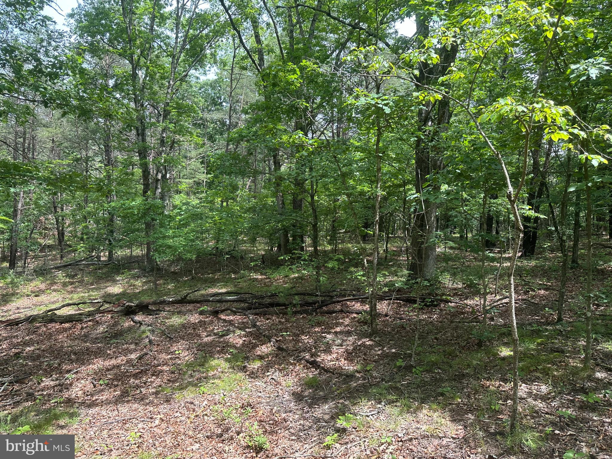 DEER RIDGE ESTATES - Land