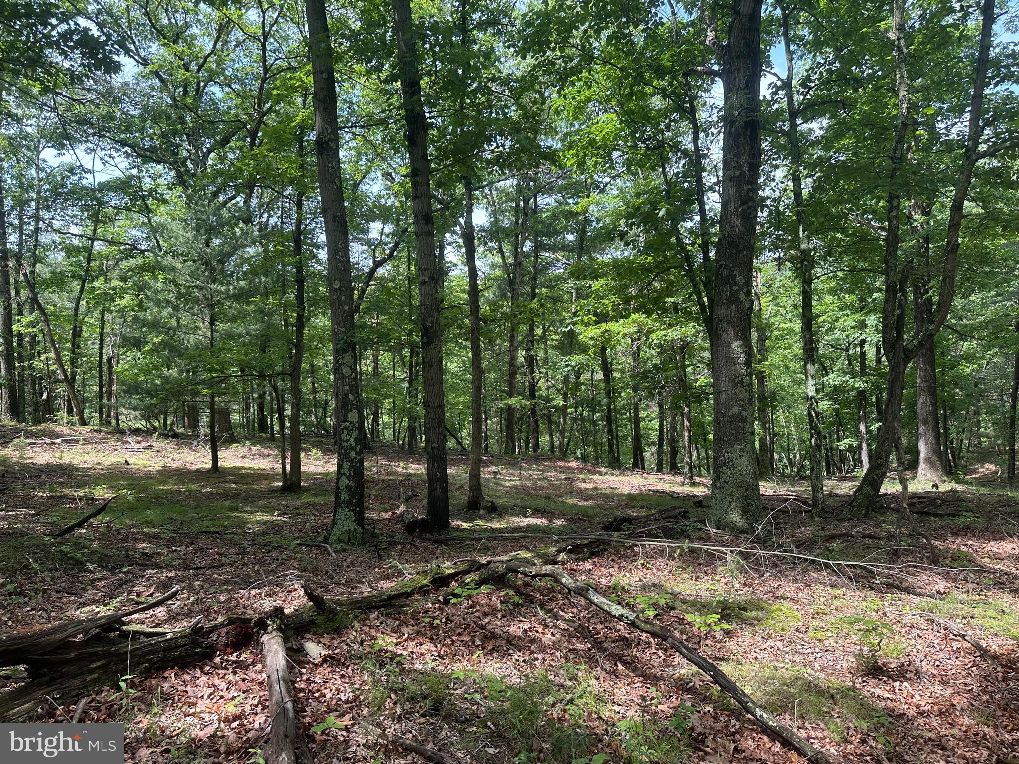 DEER RIDGE ESTATES - Land